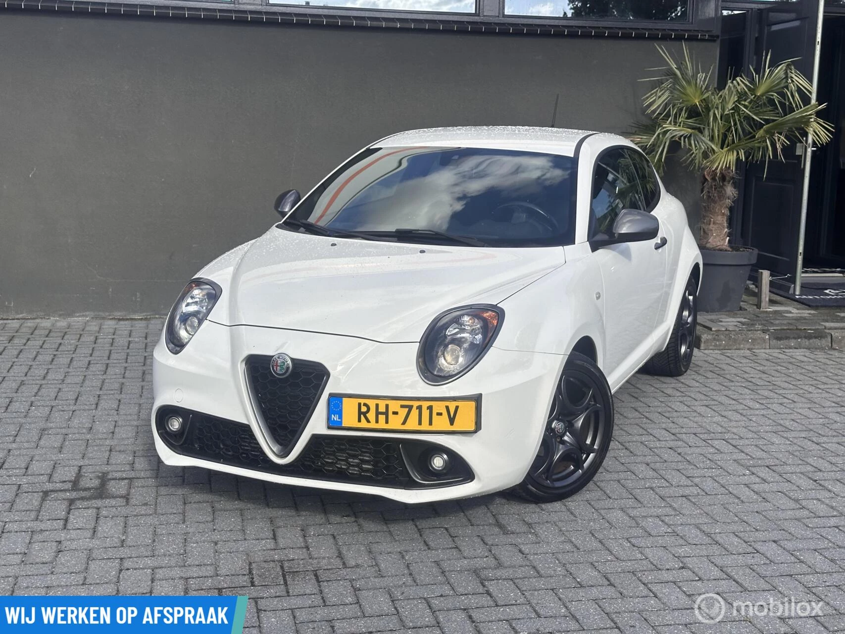 Hoofdafbeelding Alfa Romeo MiTo