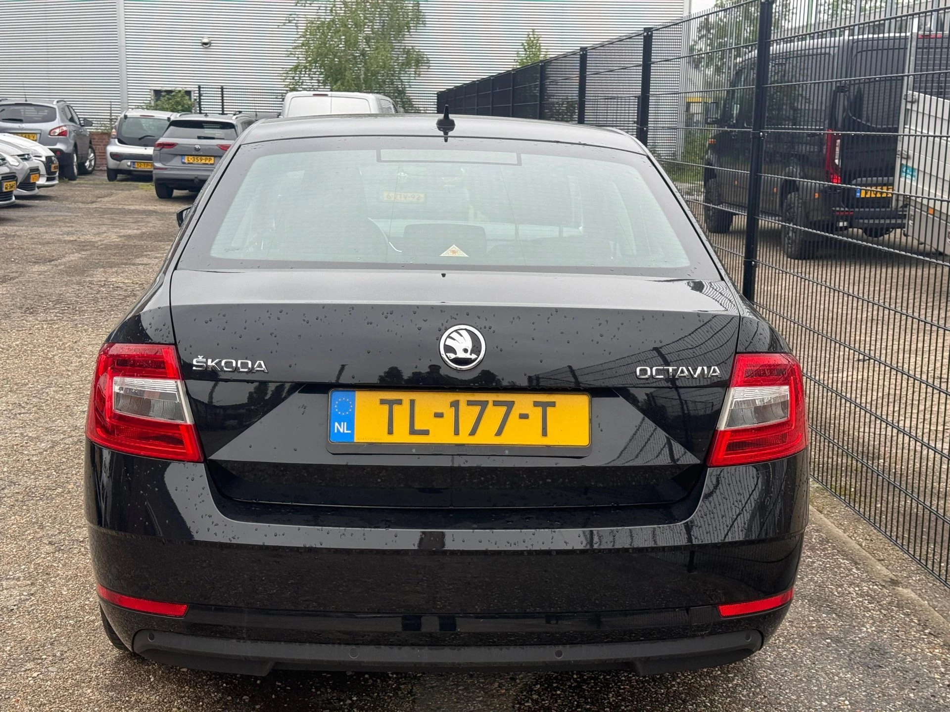Hoofdafbeelding Škoda Octavia