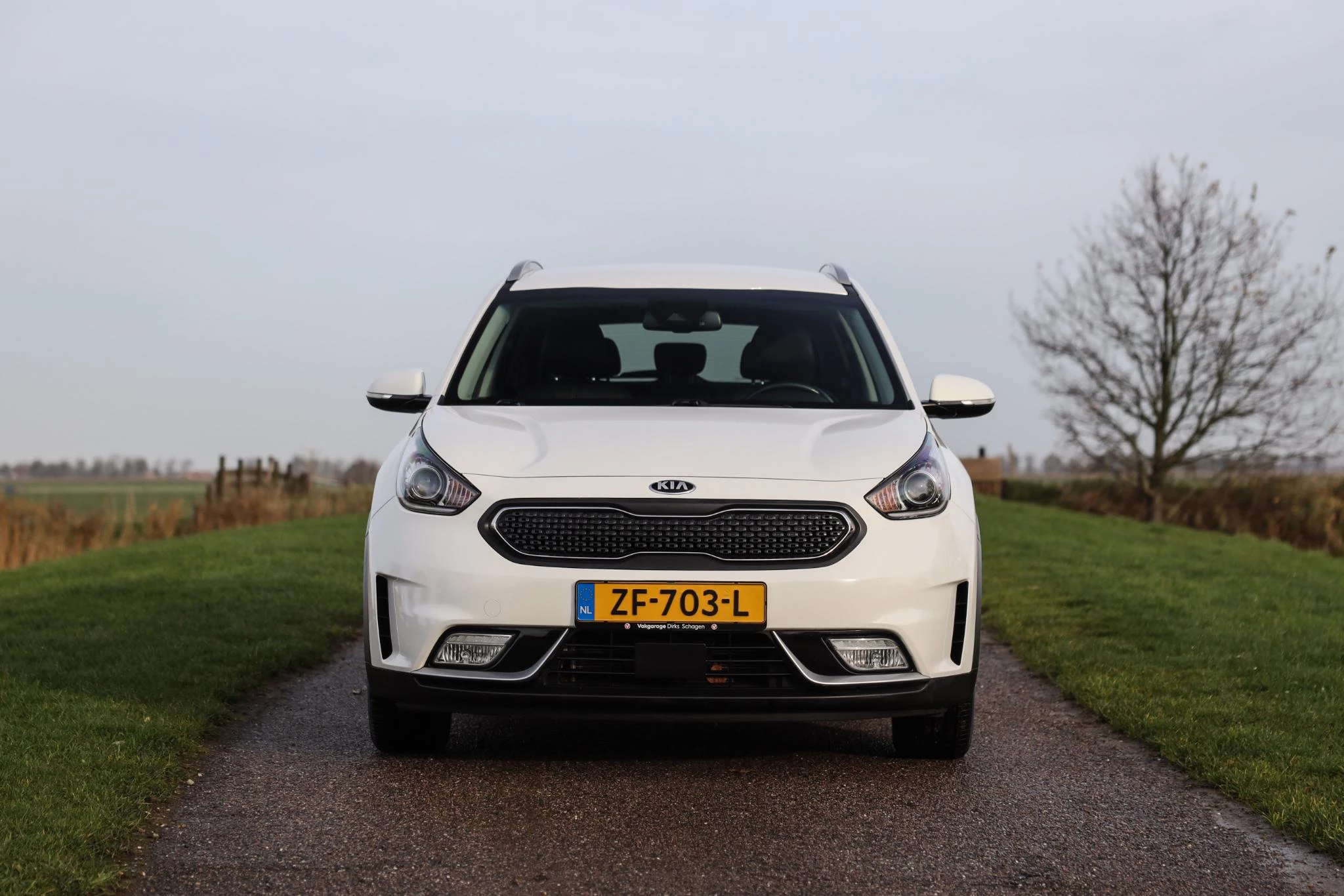 Hoofdafbeelding Kia Niro