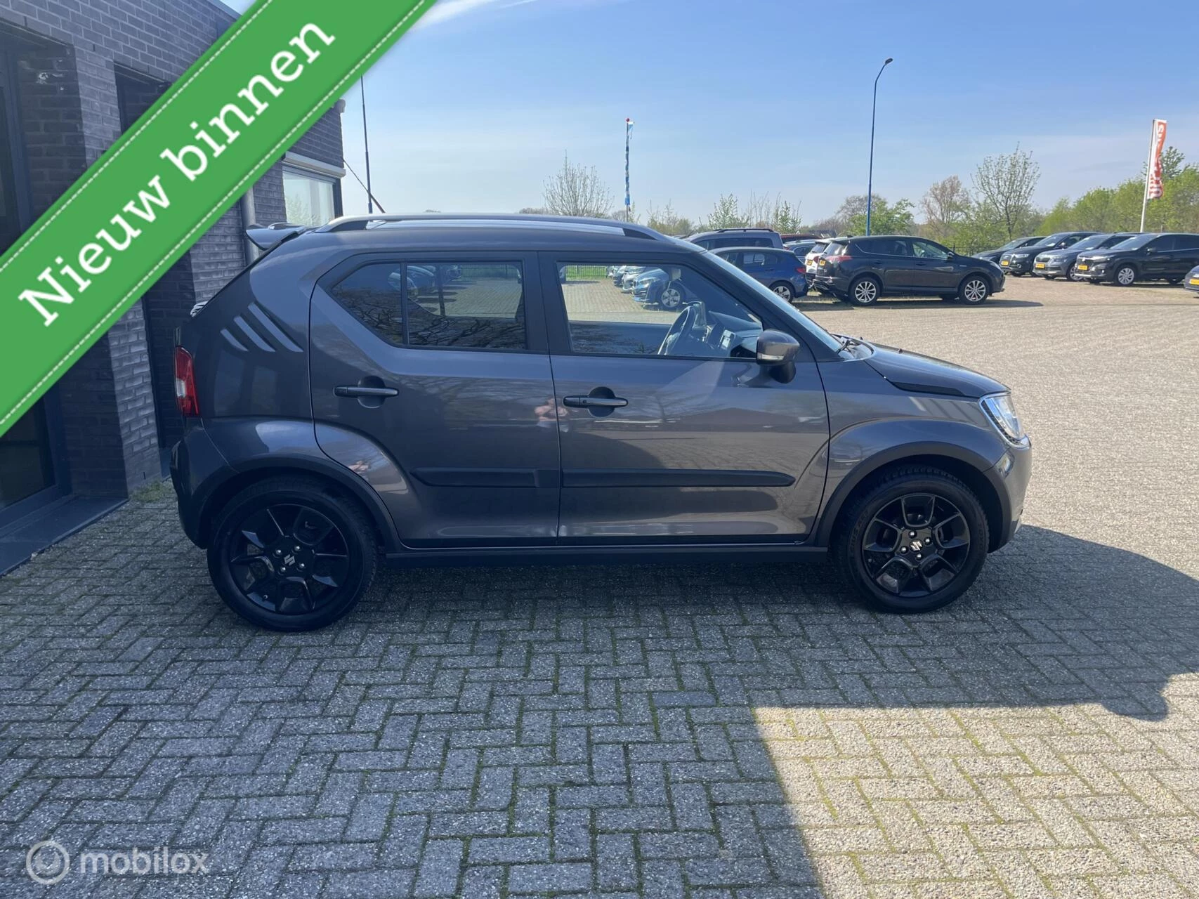 Hoofdafbeelding Suzuki Ignis