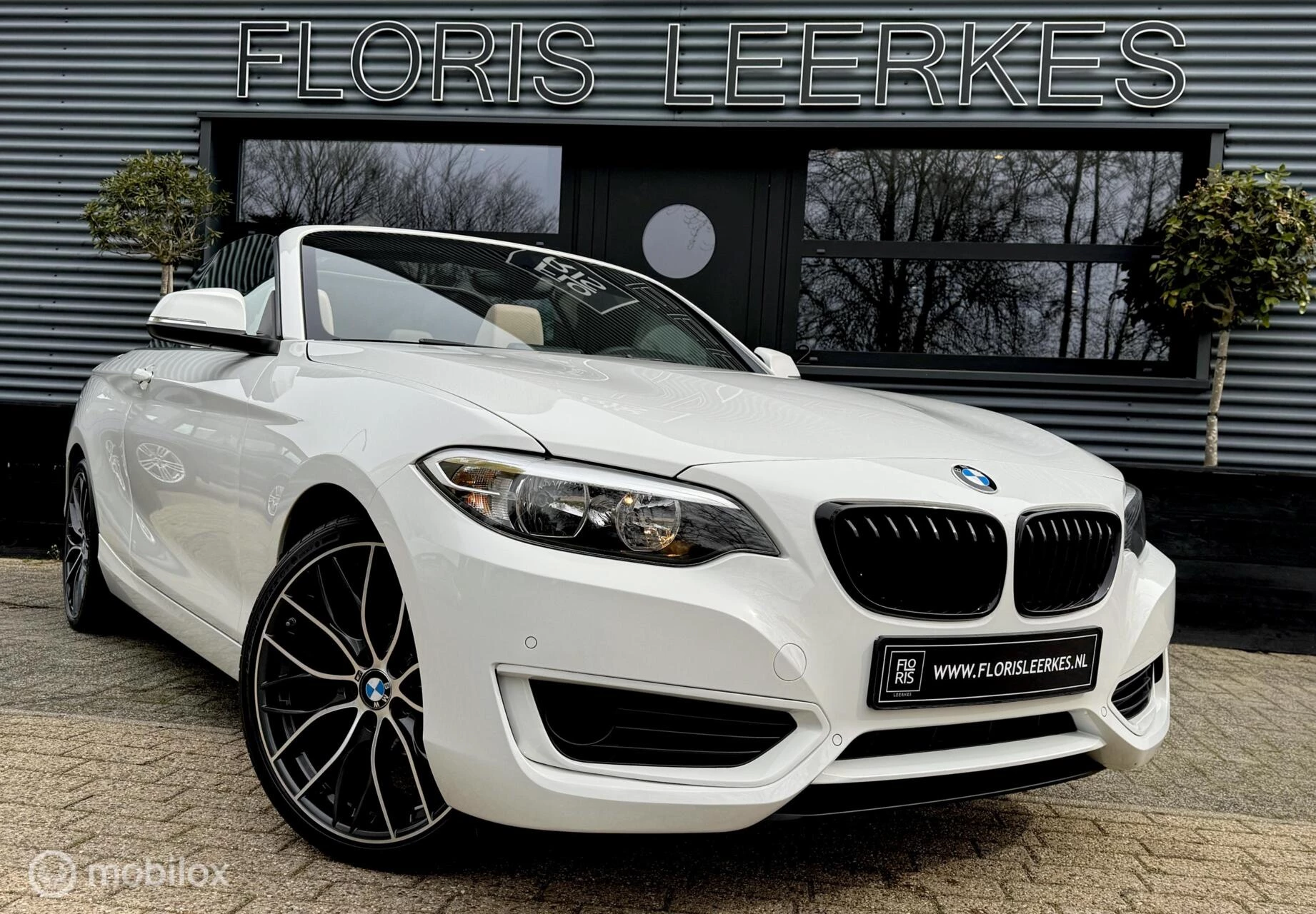 Hoofdafbeelding BMW 2 Serie