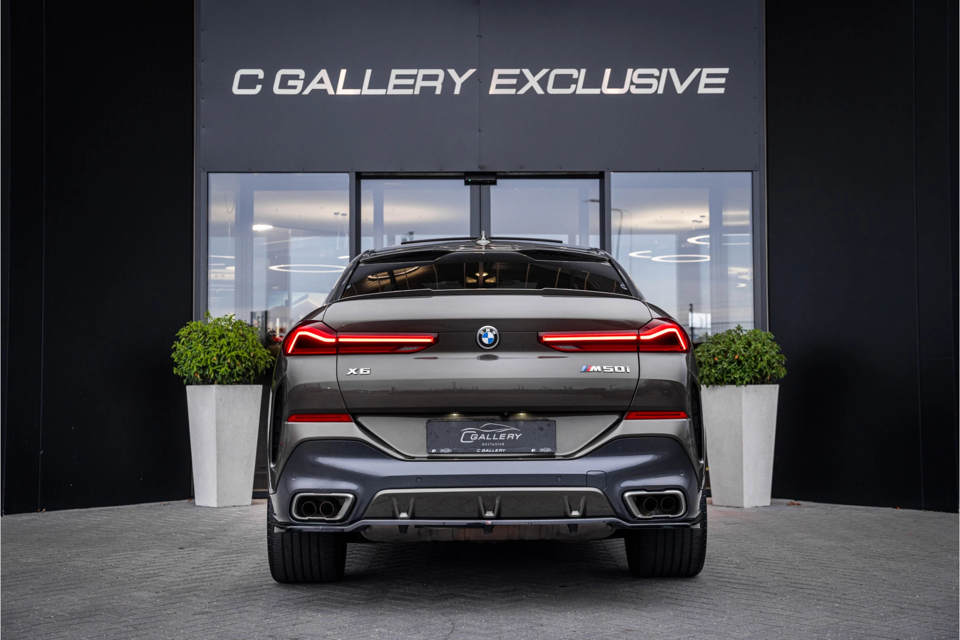 Hoofdafbeelding BMW X6