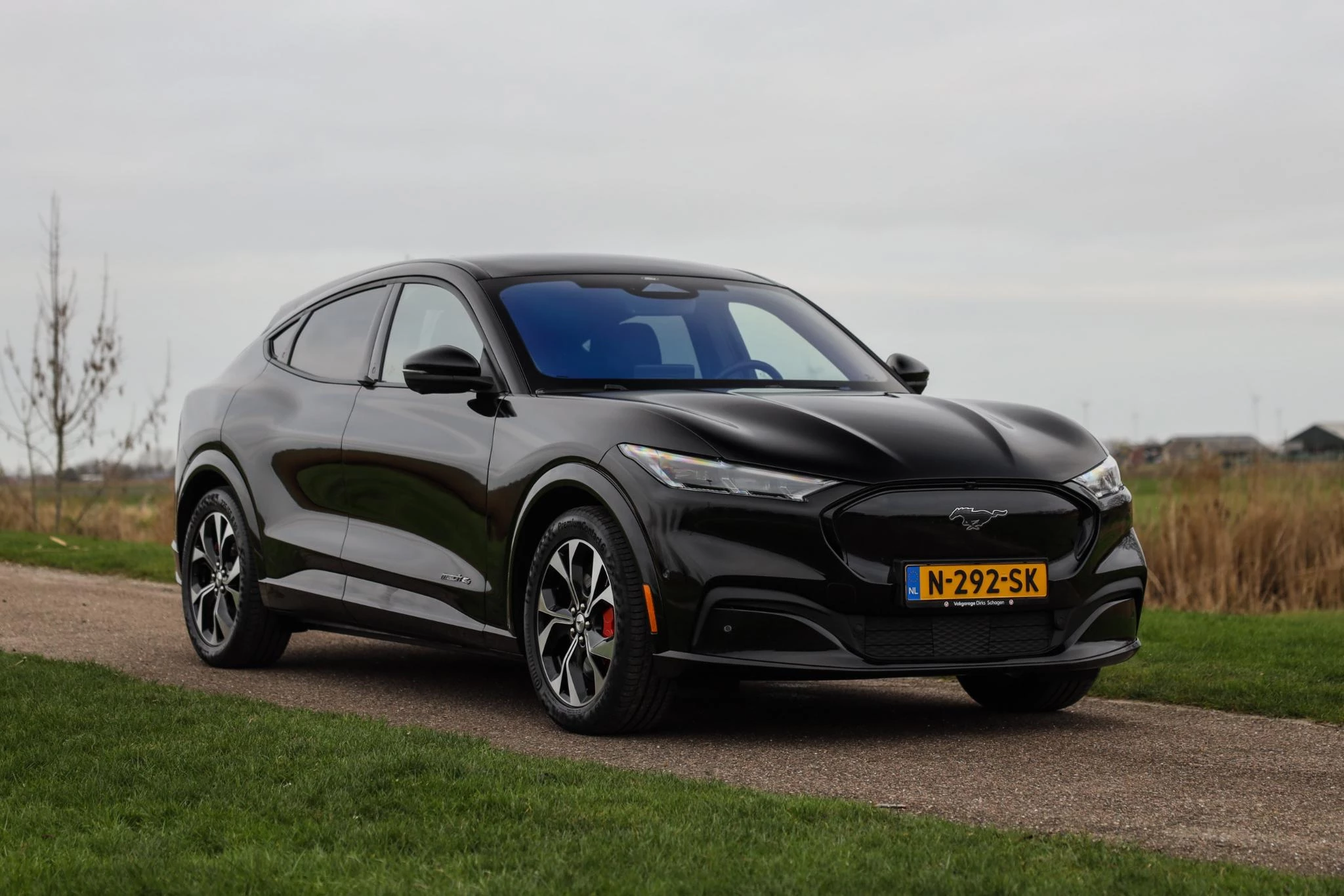 Hoofdafbeelding Ford Mustang Mach-E