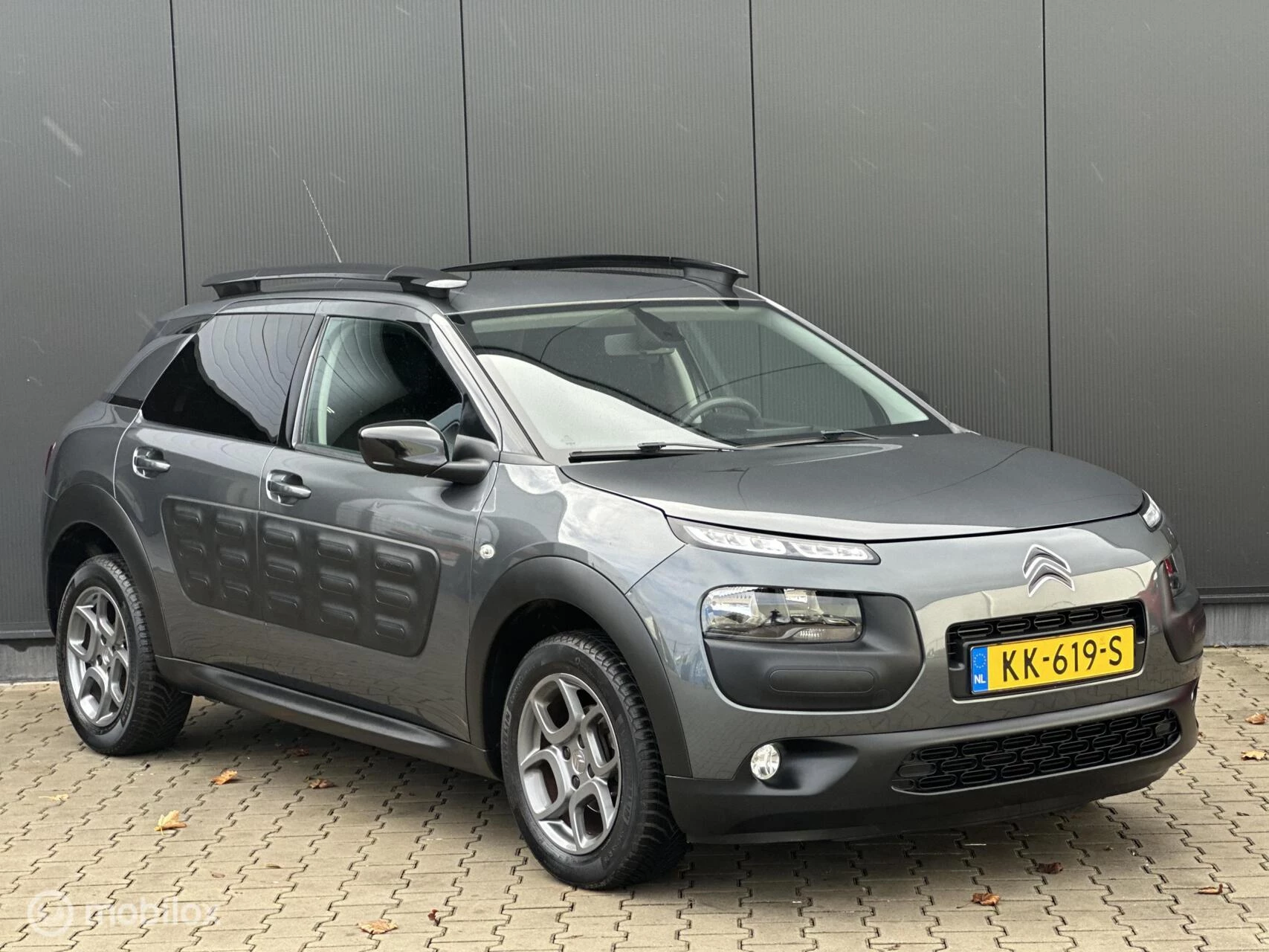 Hoofdafbeelding Citroën C4 Cactus