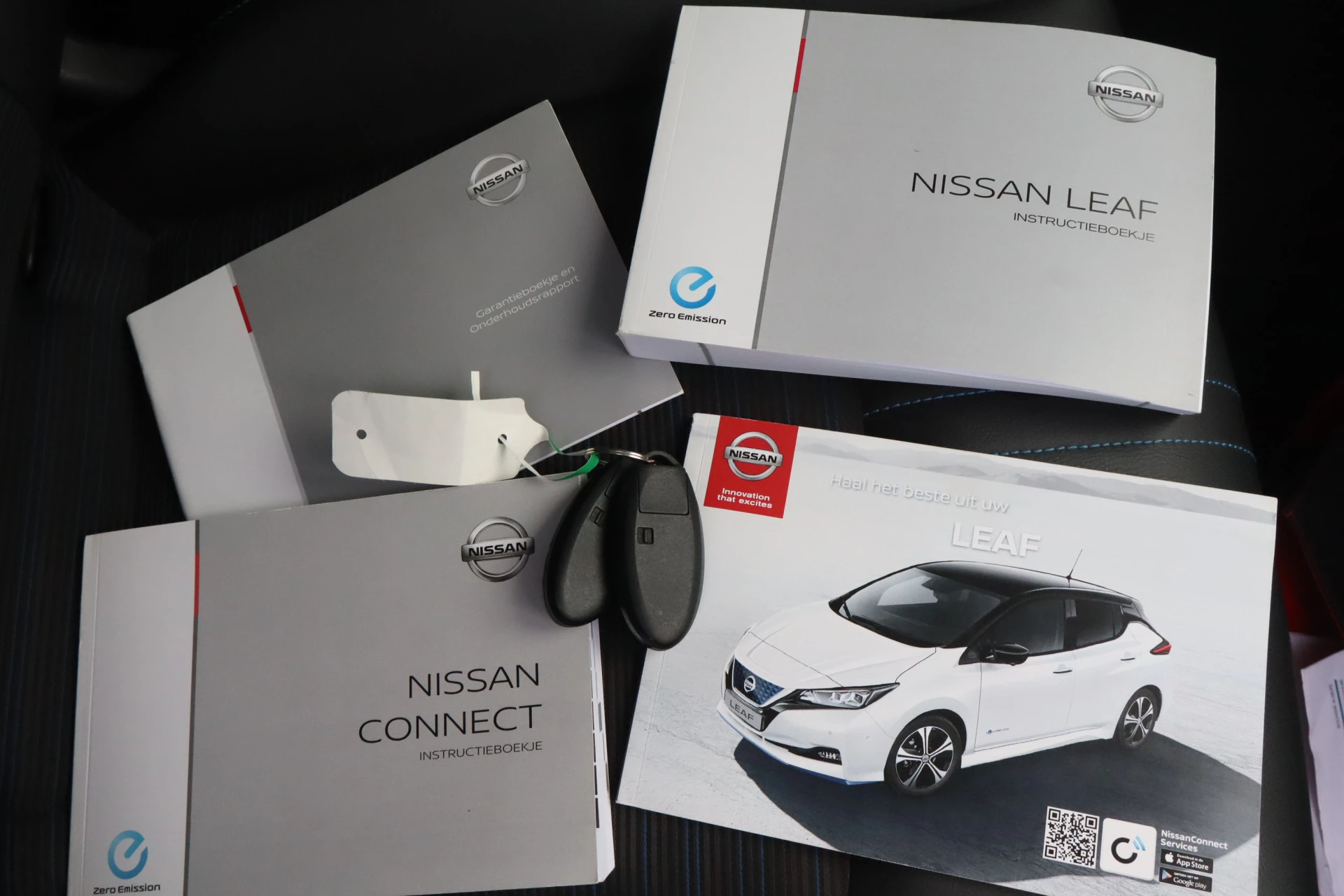 Hoofdafbeelding Nissan Leaf