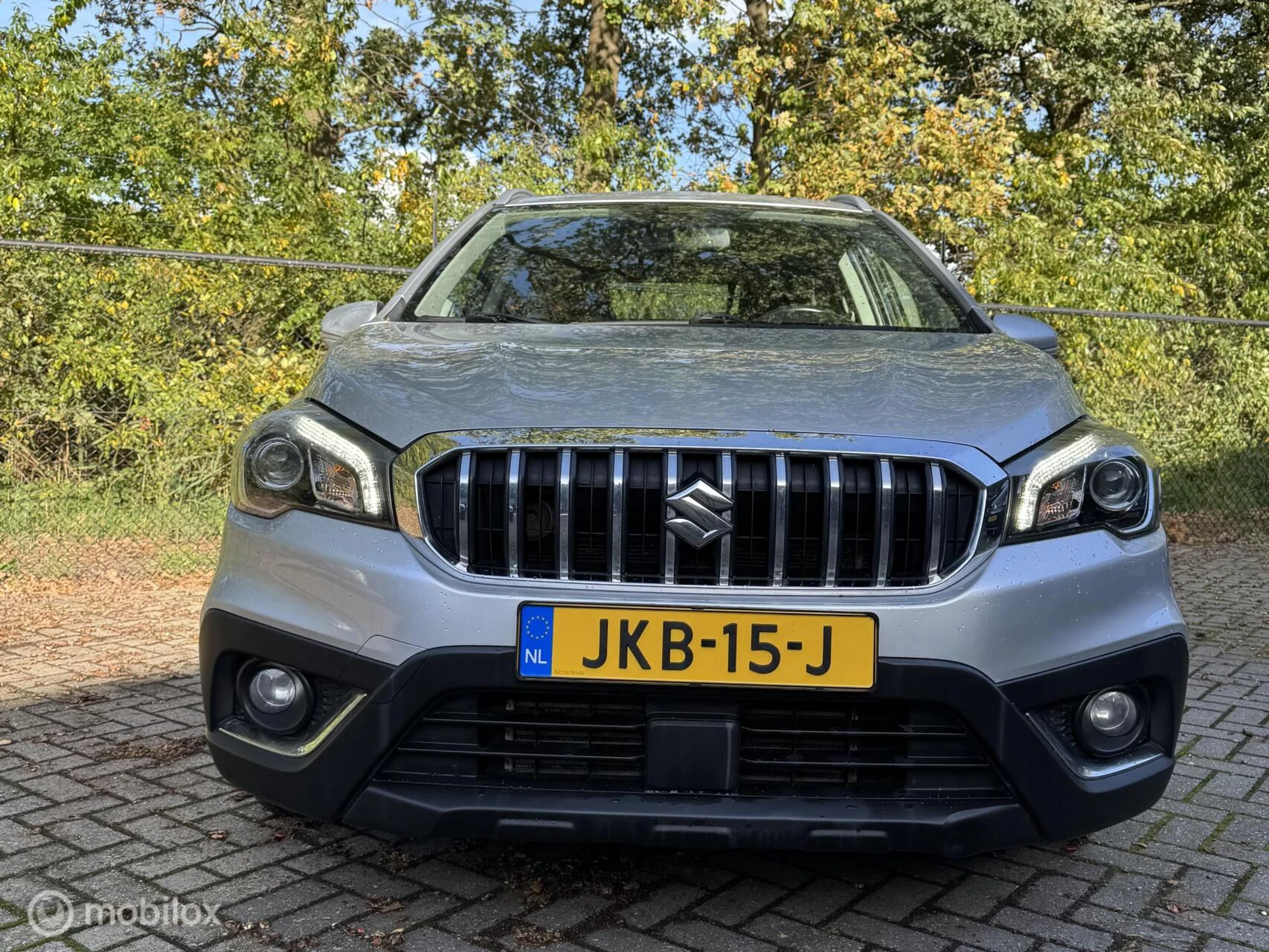 Hoofdafbeelding Suzuki S-Cross