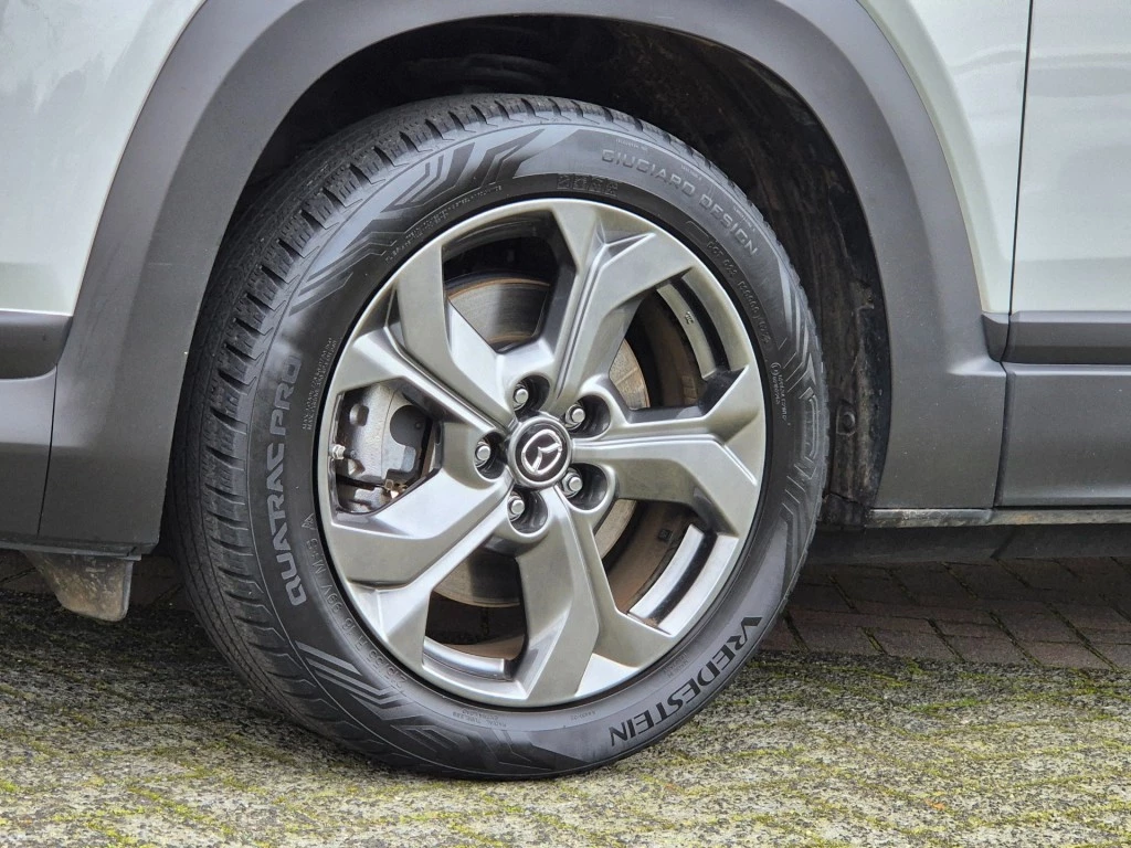 Hoofdafbeelding Mazda MX-30