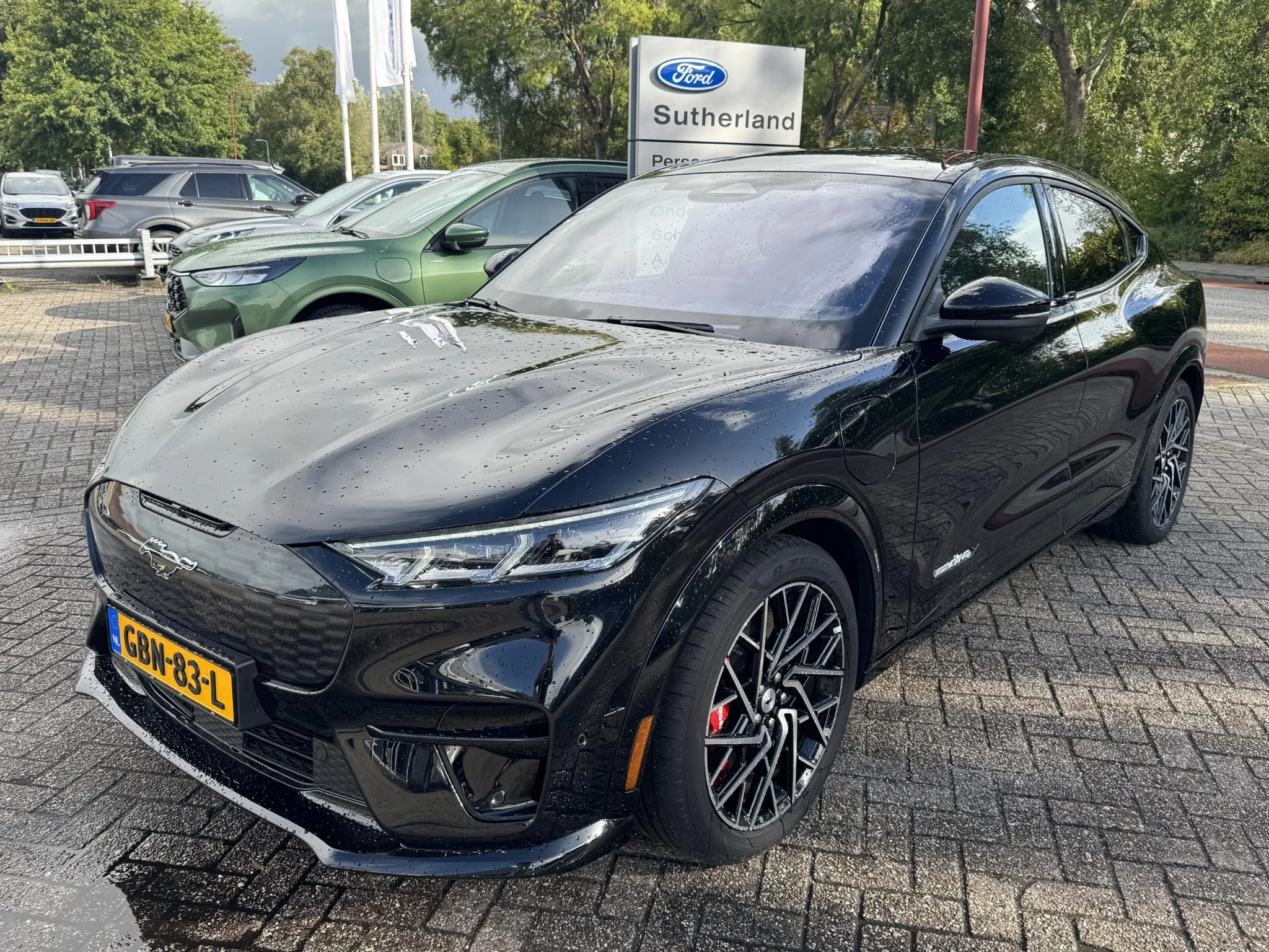 Hoofdafbeelding Ford Mustang Mach-E