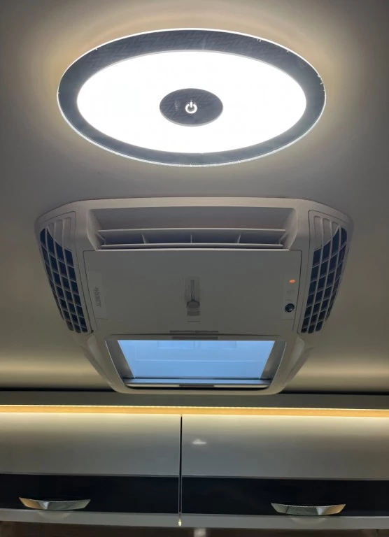 Hoofdafbeelding McLouis YEARLING