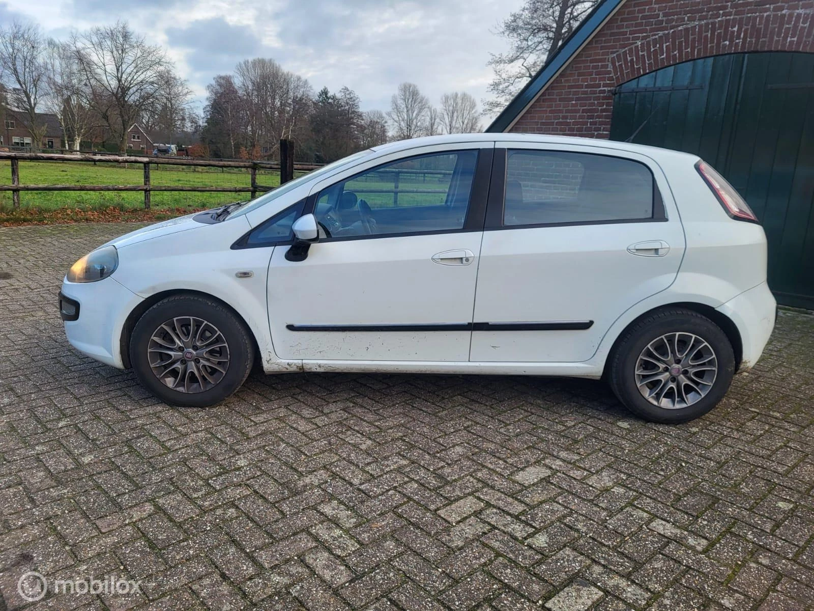 Hoofdafbeelding Fiat Punto