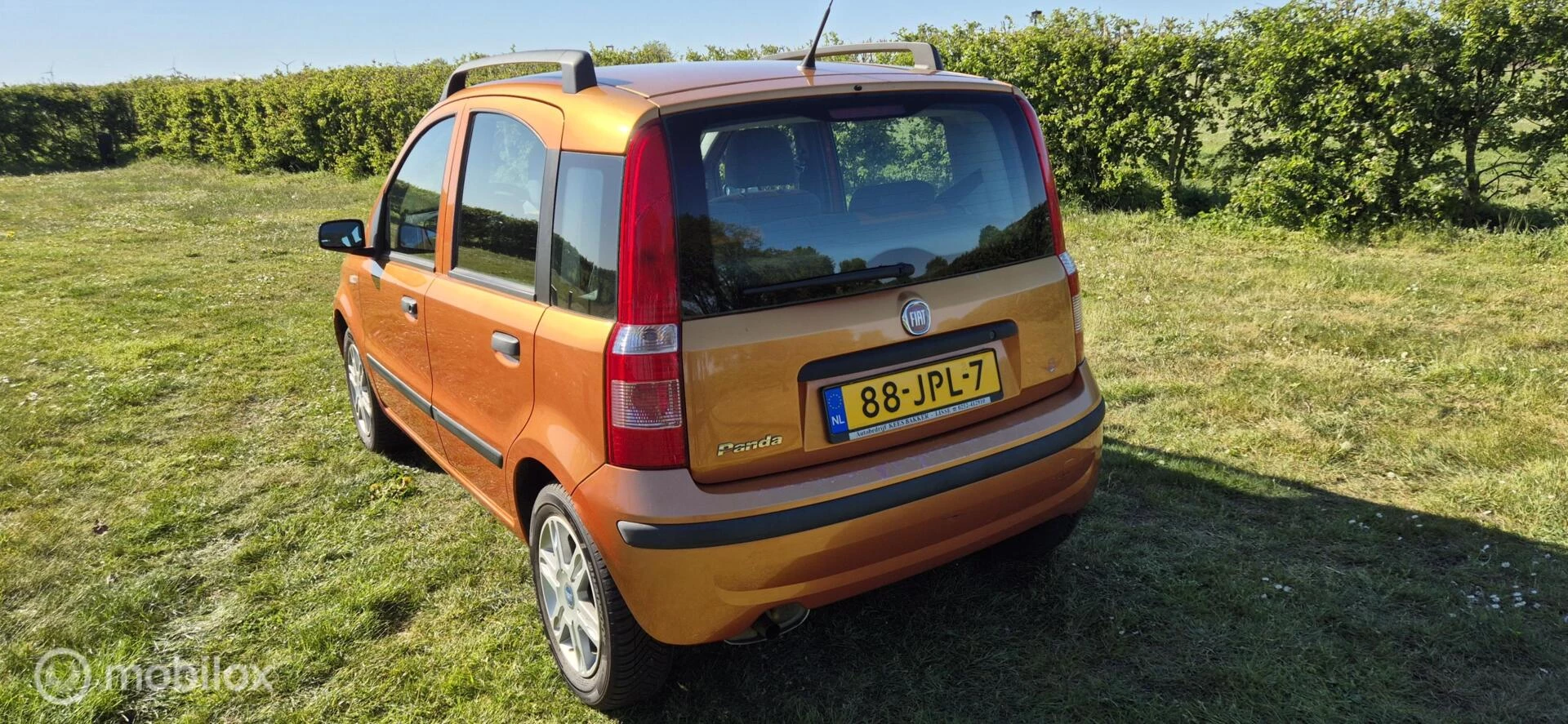 Hoofdafbeelding Fiat Panda