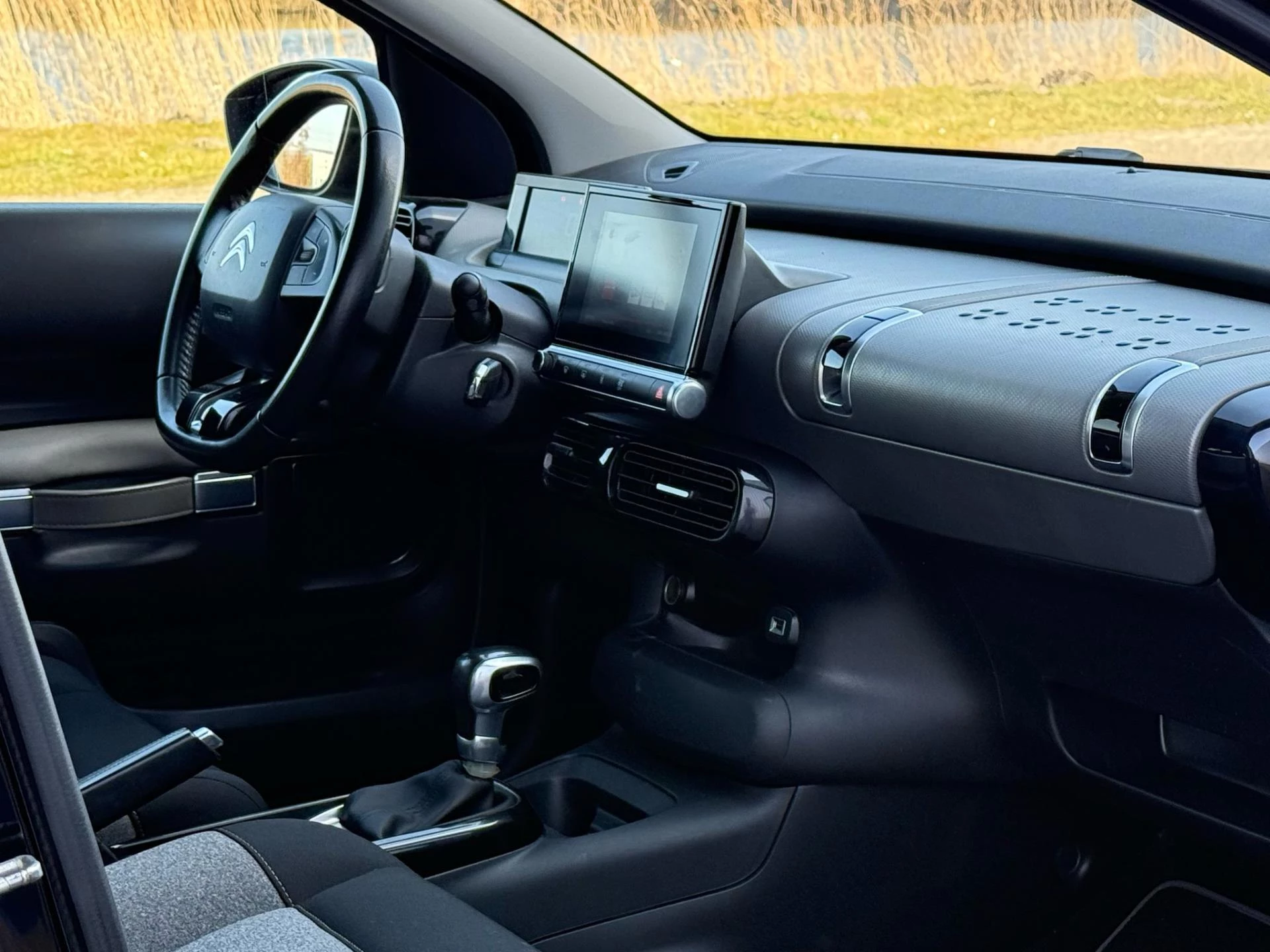 Hoofdafbeelding Citroën C4 Cactus