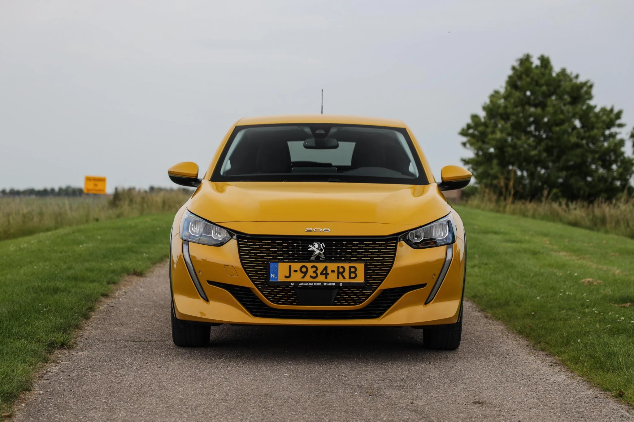 Hoofdafbeelding Peugeot e-208