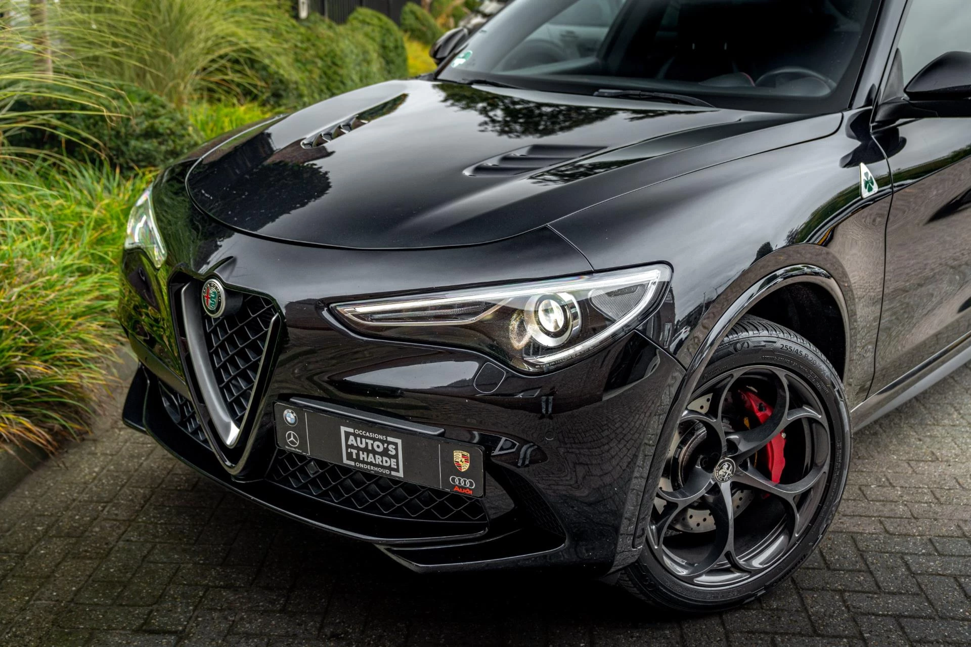 Hoofdafbeelding Alfa Romeo Stelvio