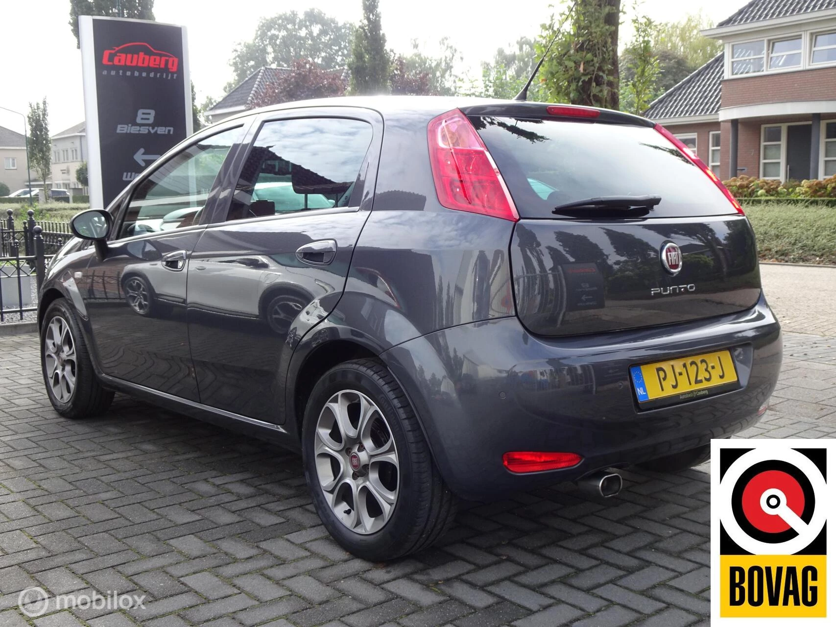 Hoofdafbeelding Fiat Punto