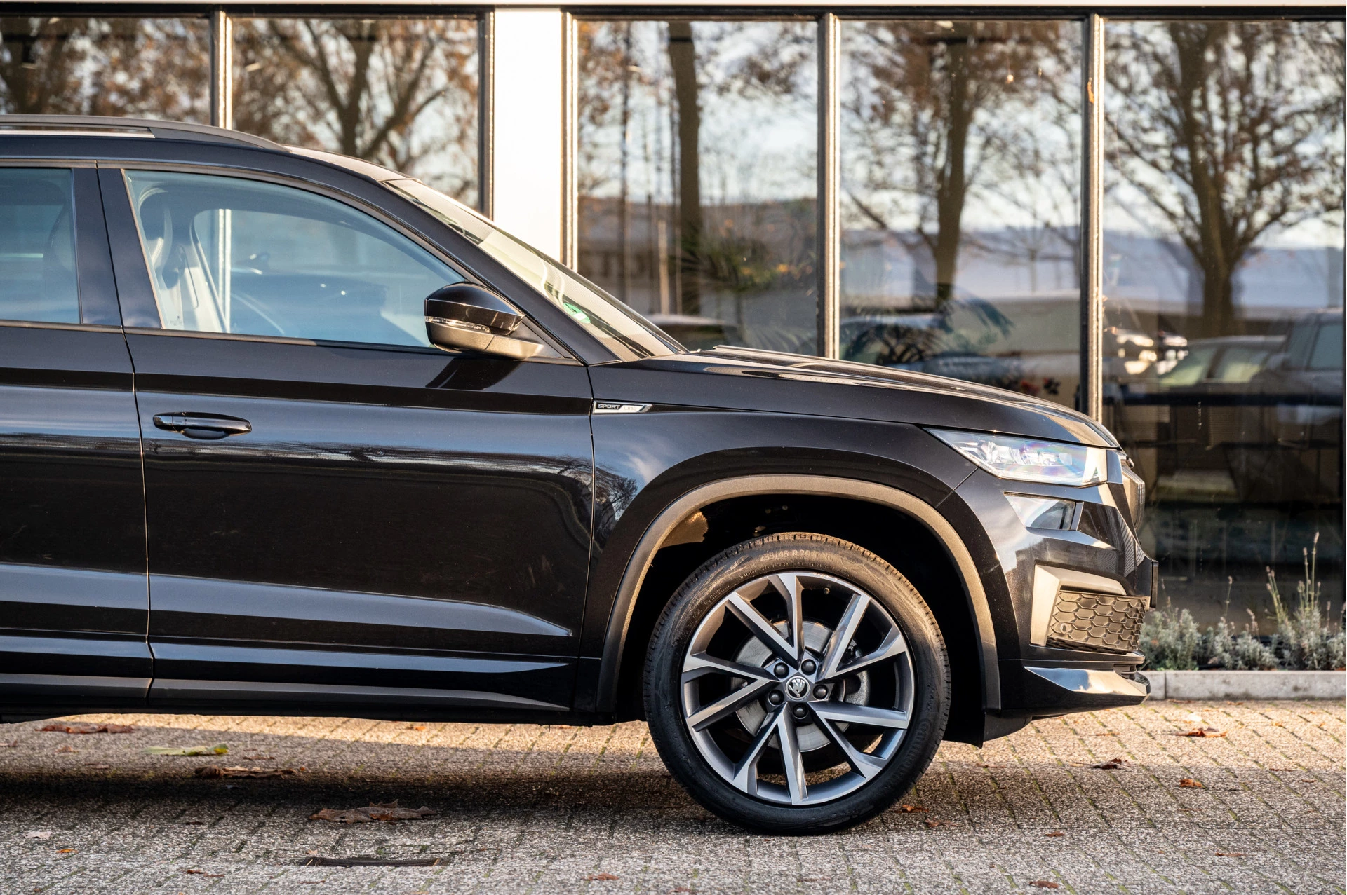 Hoofdafbeelding Škoda Kodiaq