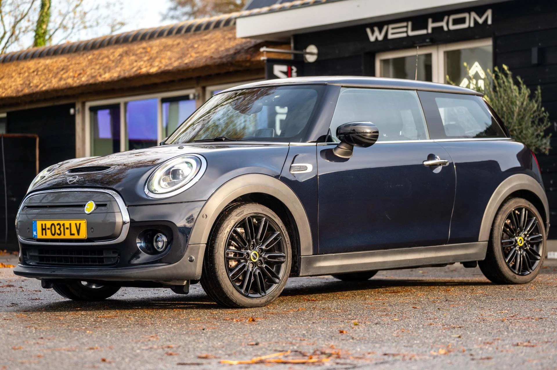 Hoofdafbeelding MINI Electric