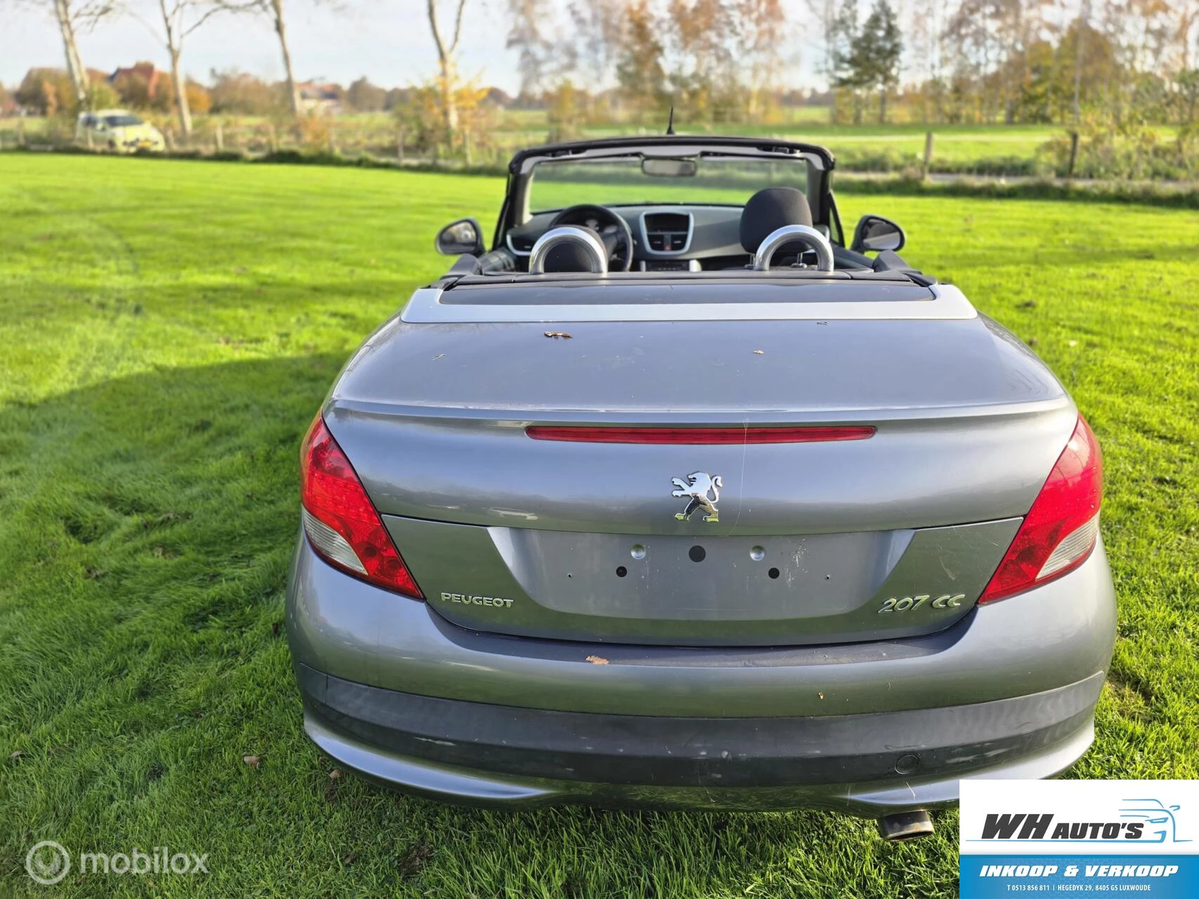 Hoofdafbeelding Peugeot 207