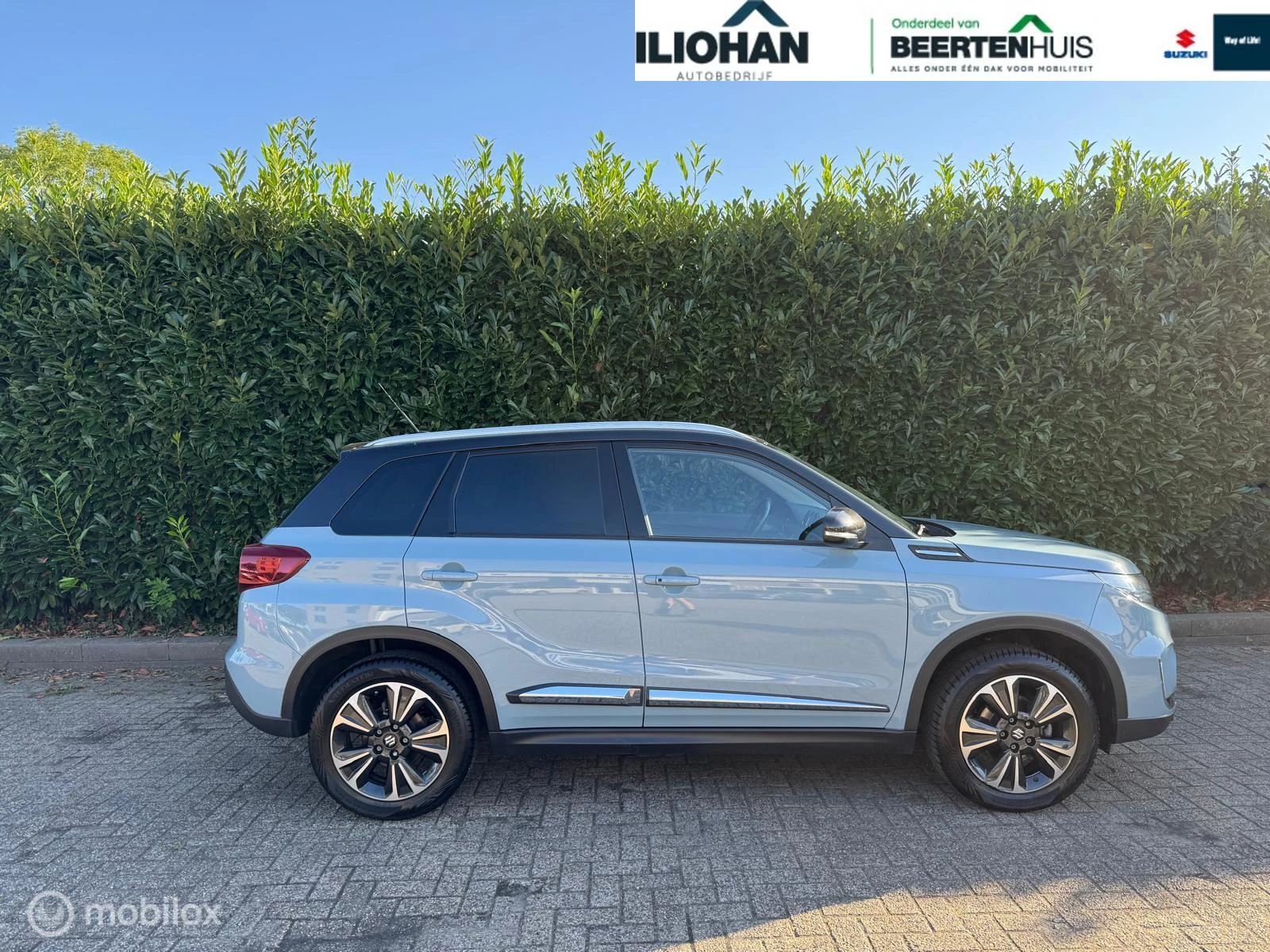 Hoofdafbeelding Suzuki Vitara