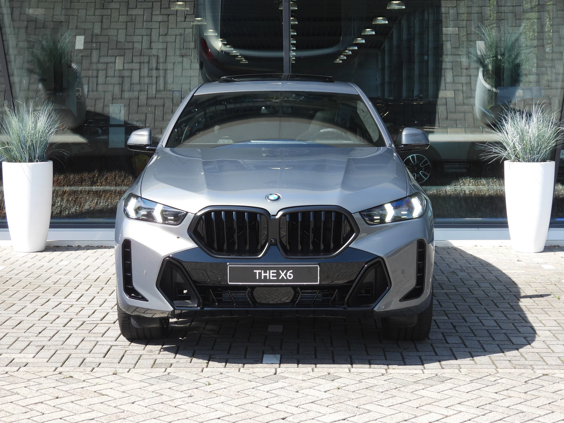 Hoofdafbeelding BMW X6