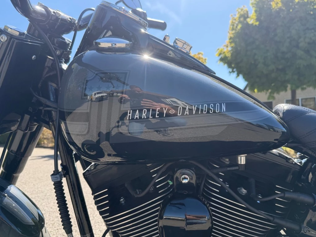 Hoofdafbeelding Harley-Davidson Softail