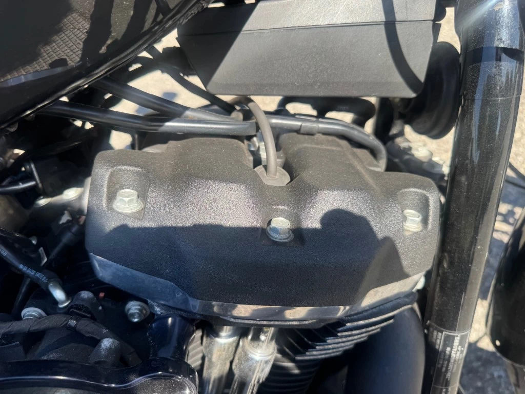 Hoofdafbeelding Harley-Davidson Street Bob