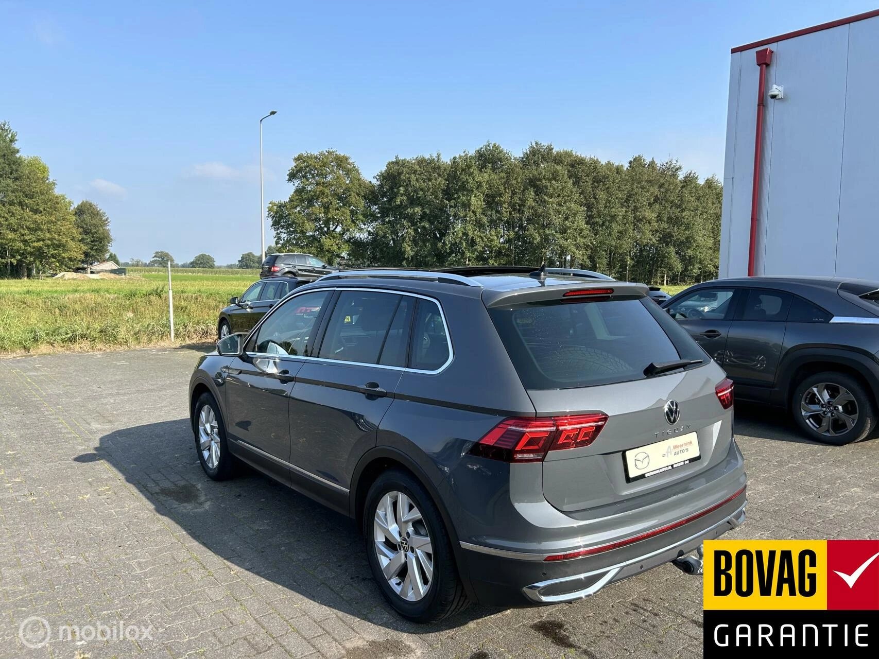 Hoofdafbeelding Volkswagen Tiguan