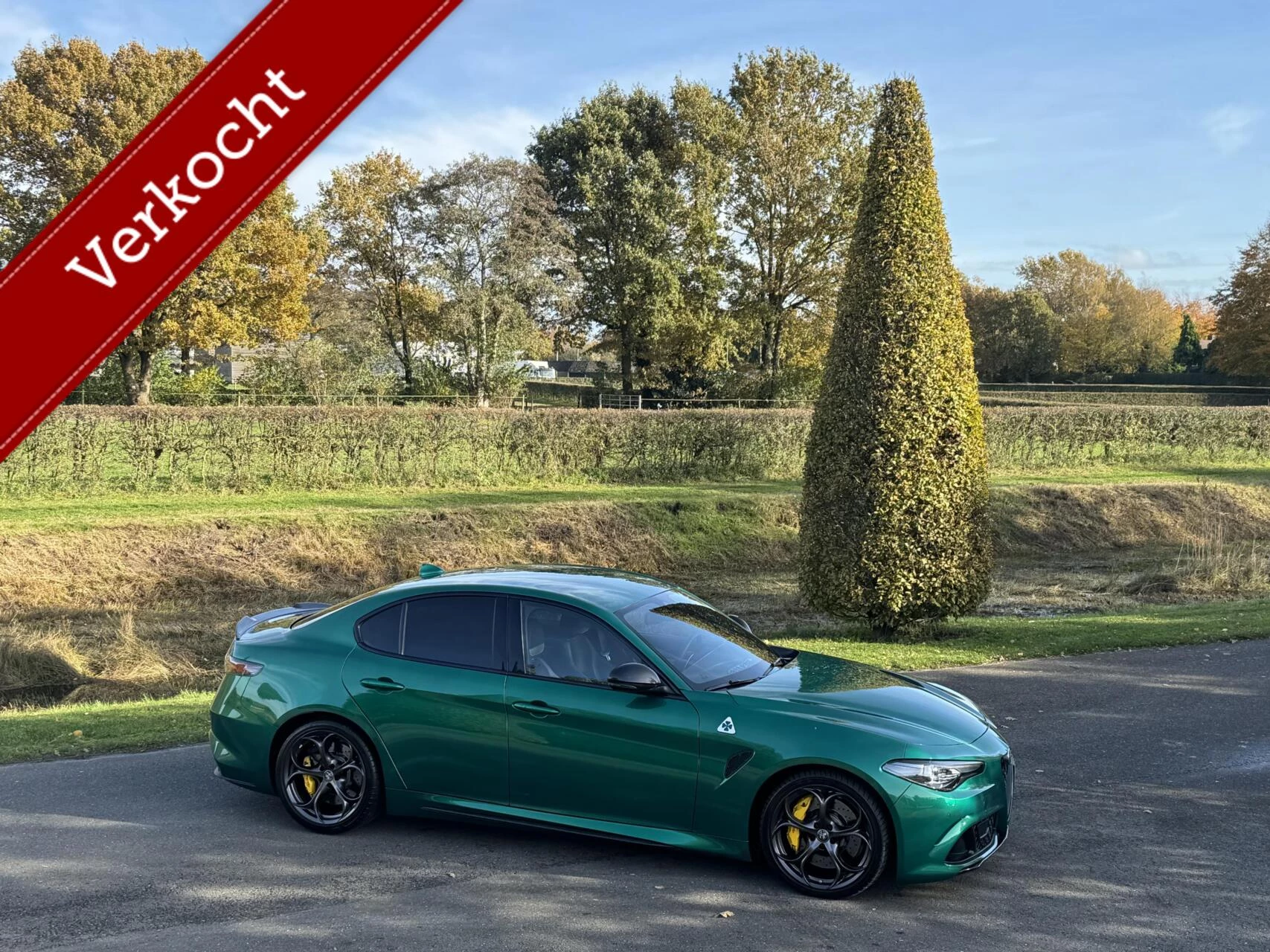 Hoofdafbeelding Alfa Romeo Giulia