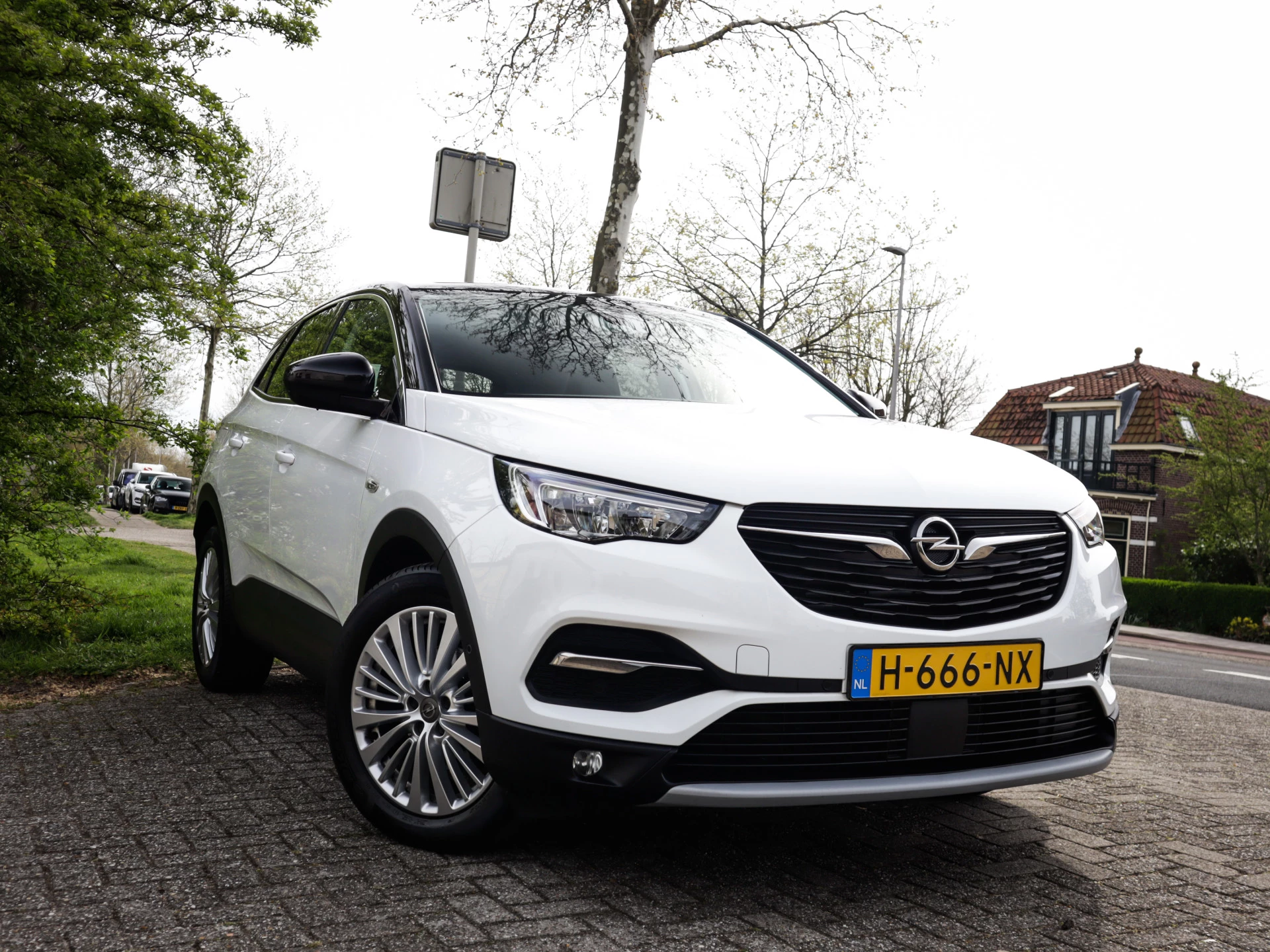 Hoofdafbeelding Opel Grandland X