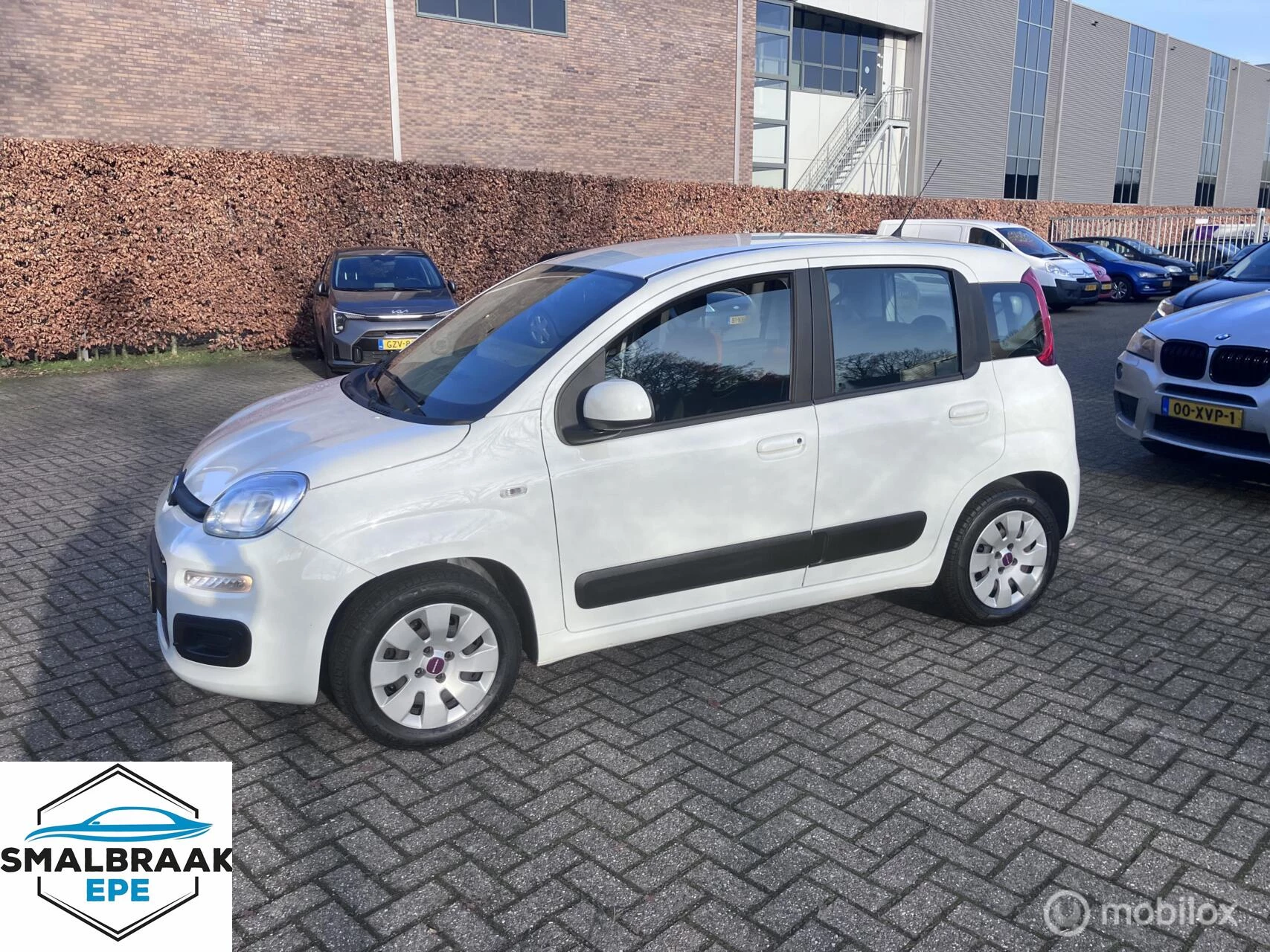 Hoofdafbeelding Fiat Panda