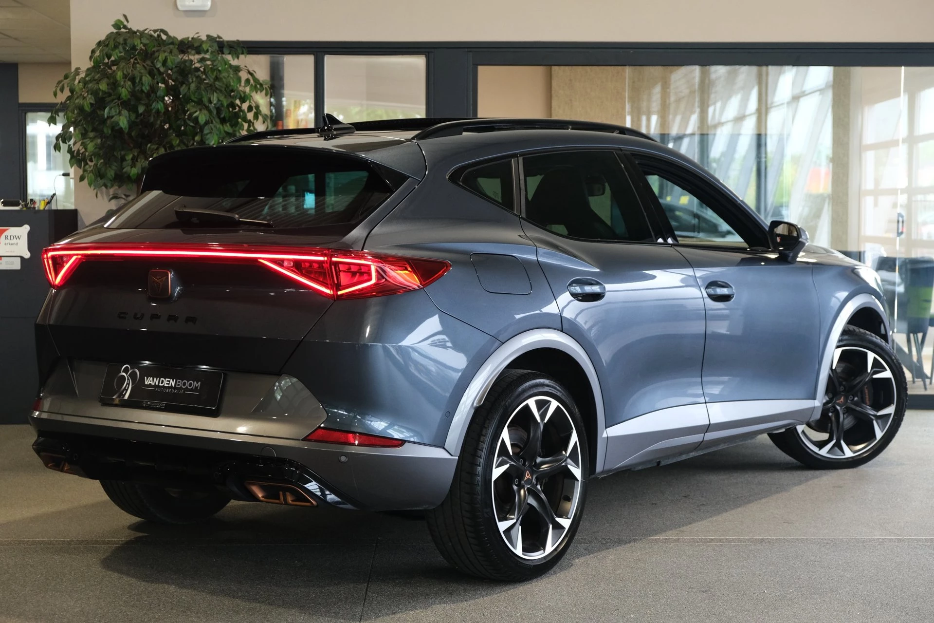 Hoofdafbeelding CUPRA Formentor
