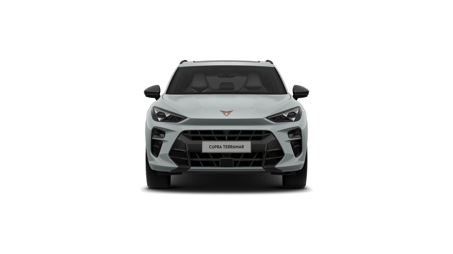 Hoofdafbeelding CUPRA Terramar