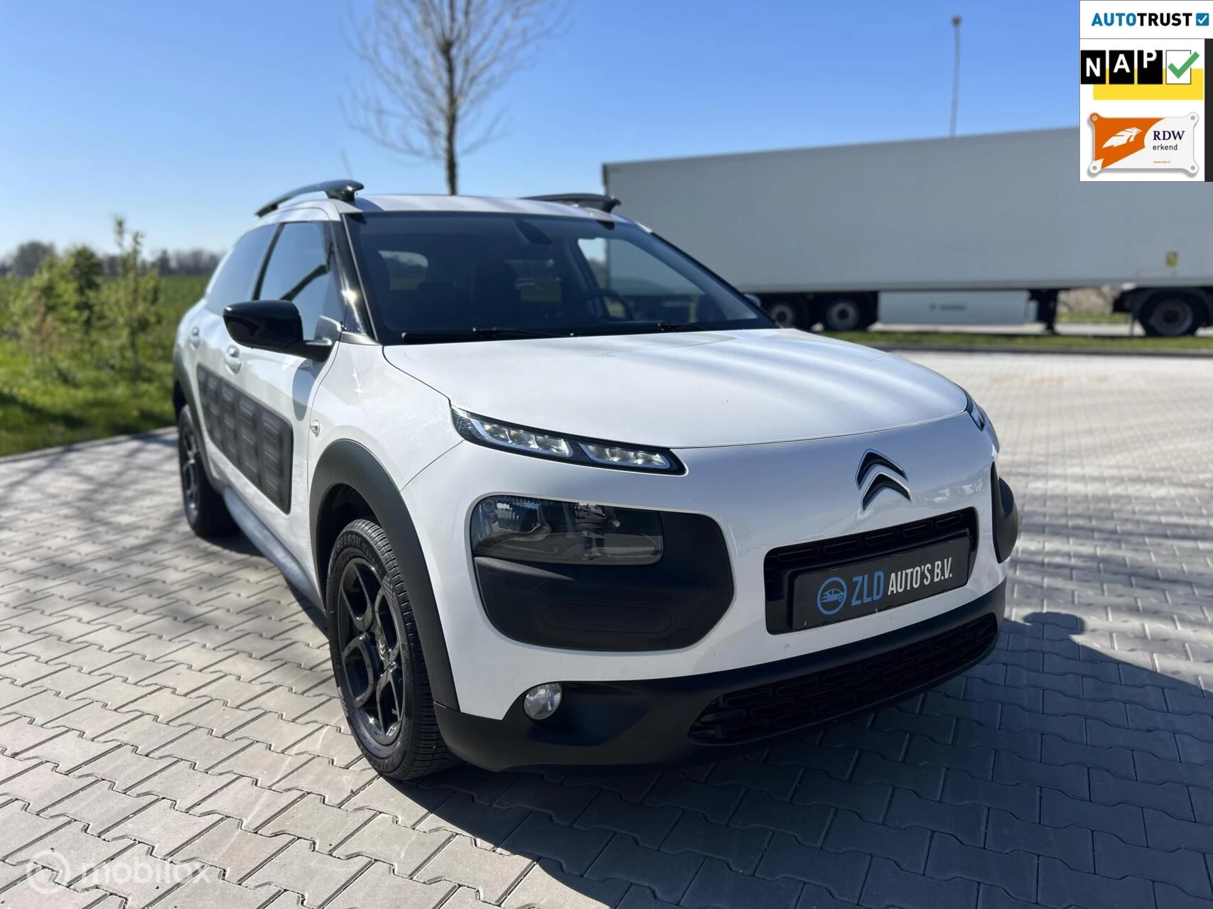 Hoofdafbeelding Citroën C4 Cactus