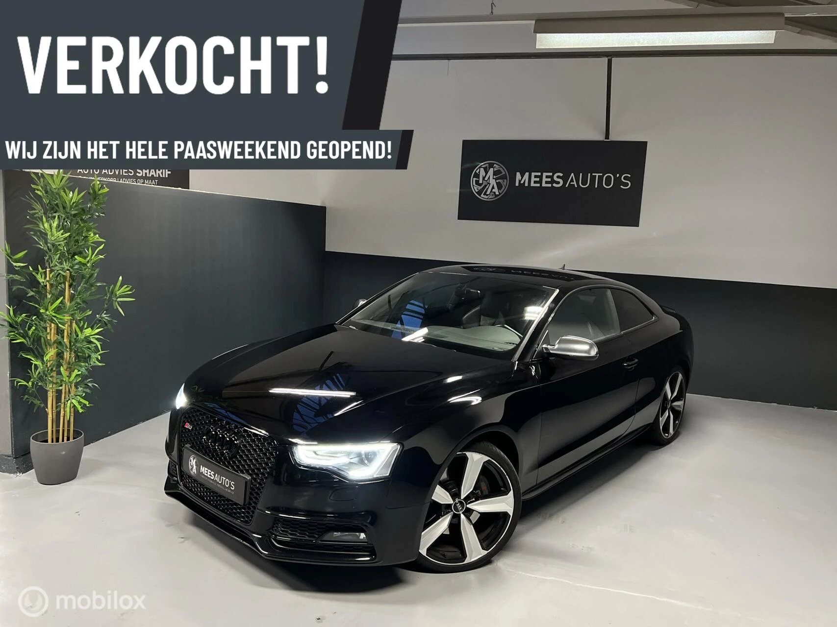 Hoofdafbeelding Audi S5