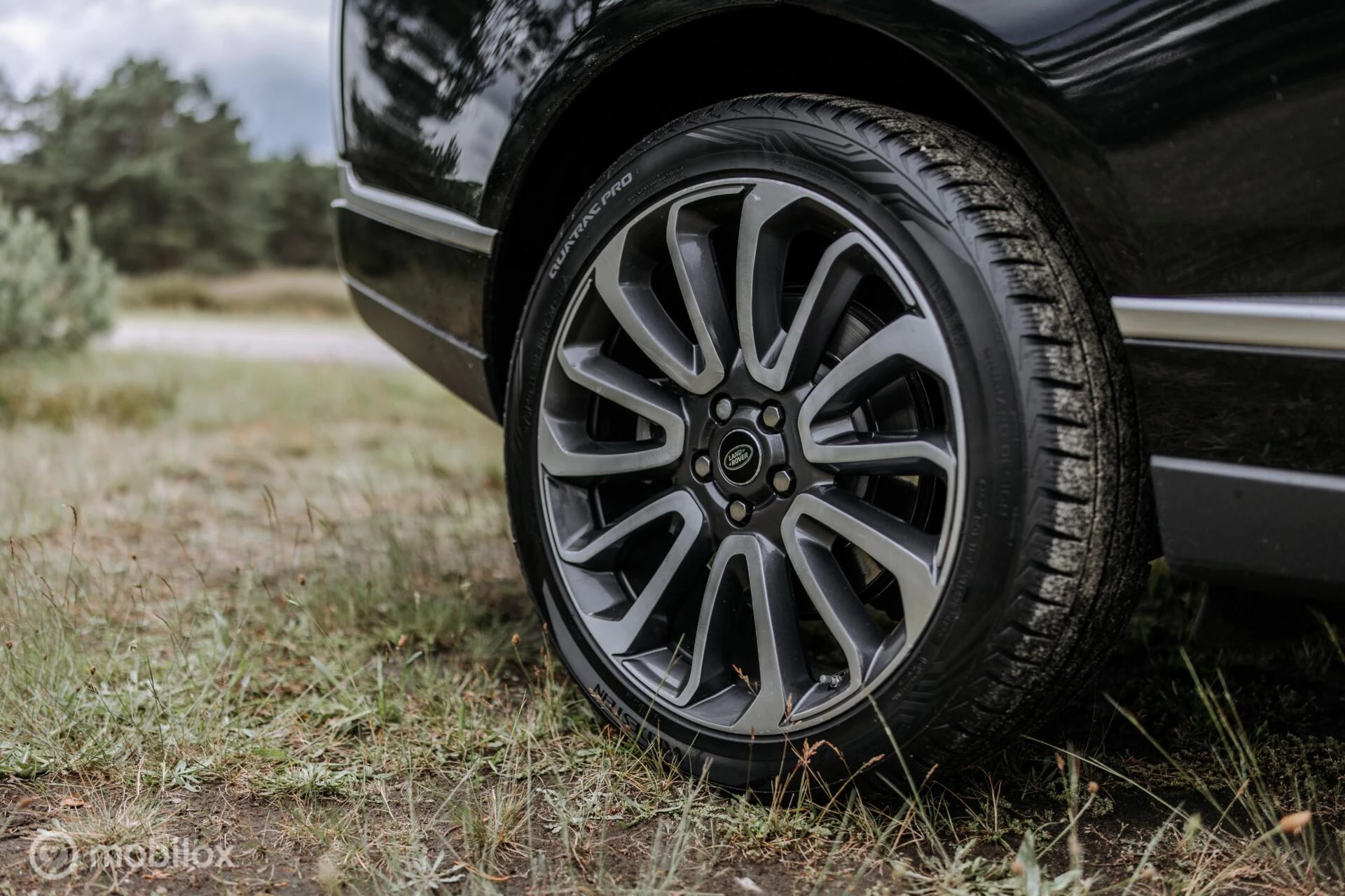 Hoofdafbeelding Land Rover Range Rover