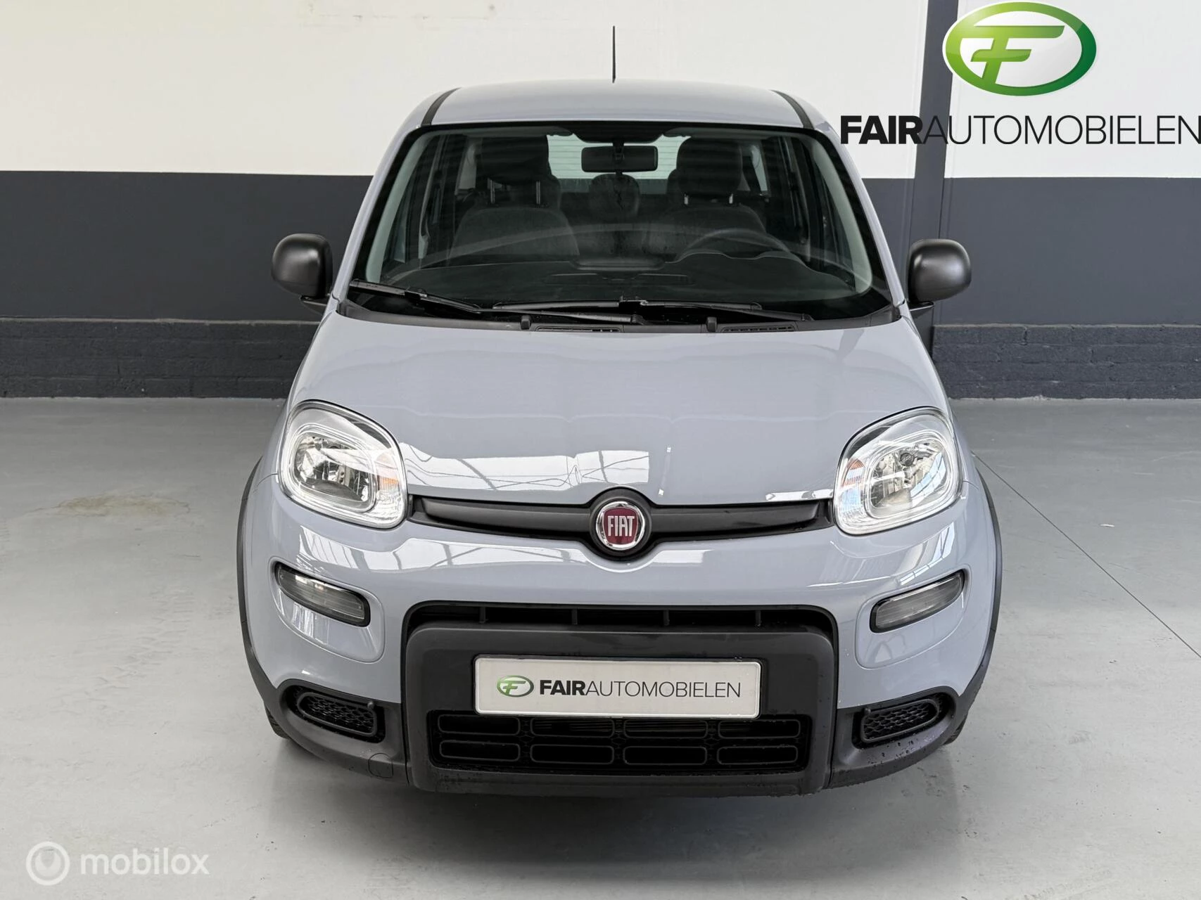 Hoofdafbeelding Fiat Panda