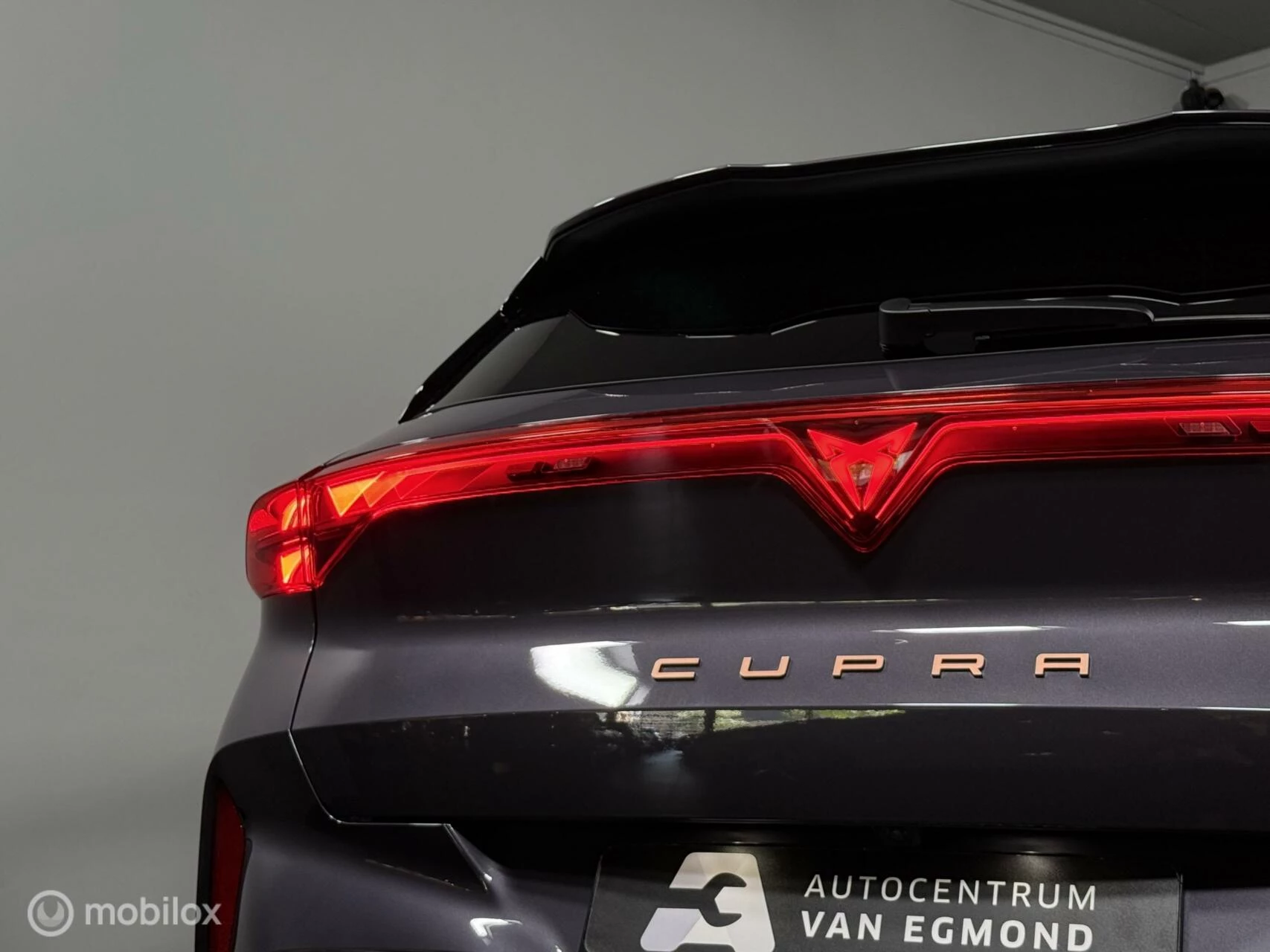 Hoofdafbeelding CUPRA Terramar