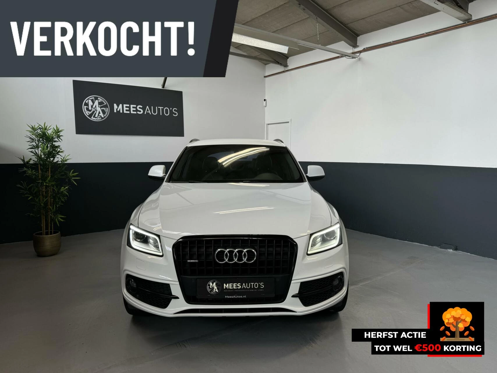 Hoofdafbeelding Audi Q5