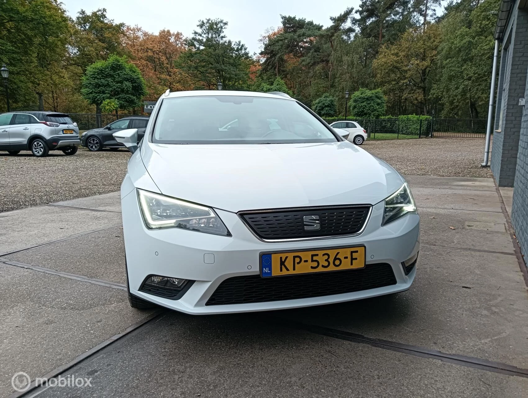 Hoofdafbeelding SEAT Leon