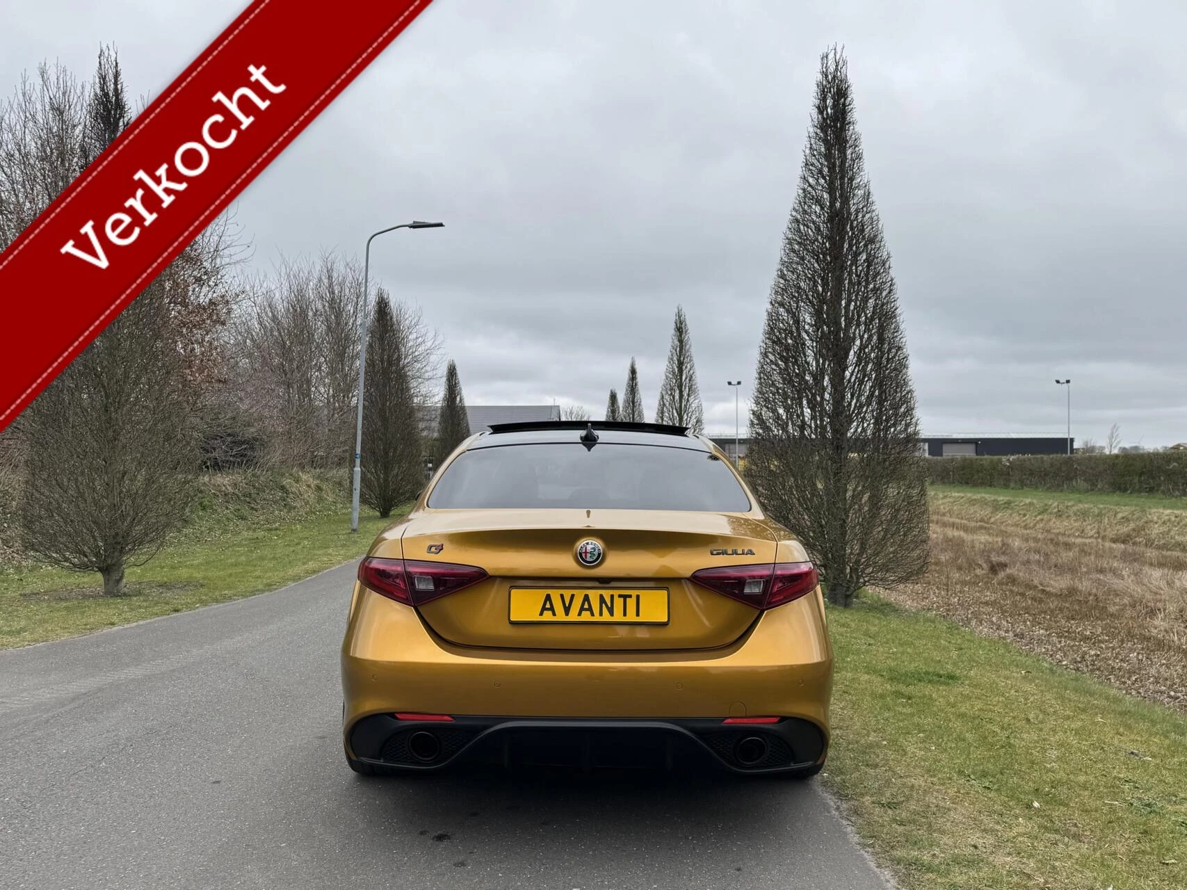 Hoofdafbeelding Alfa Romeo Giulia