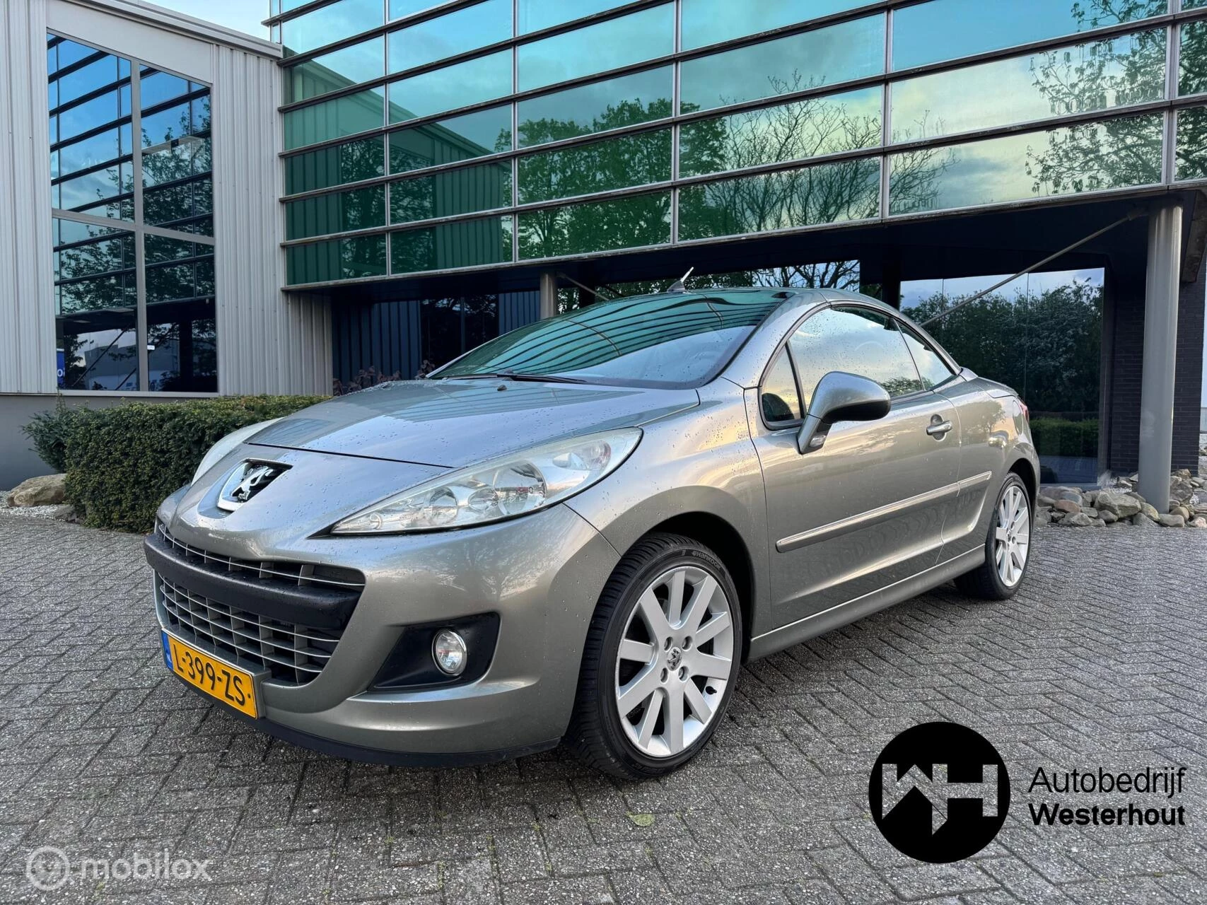 Hoofdafbeelding Peugeot 207
