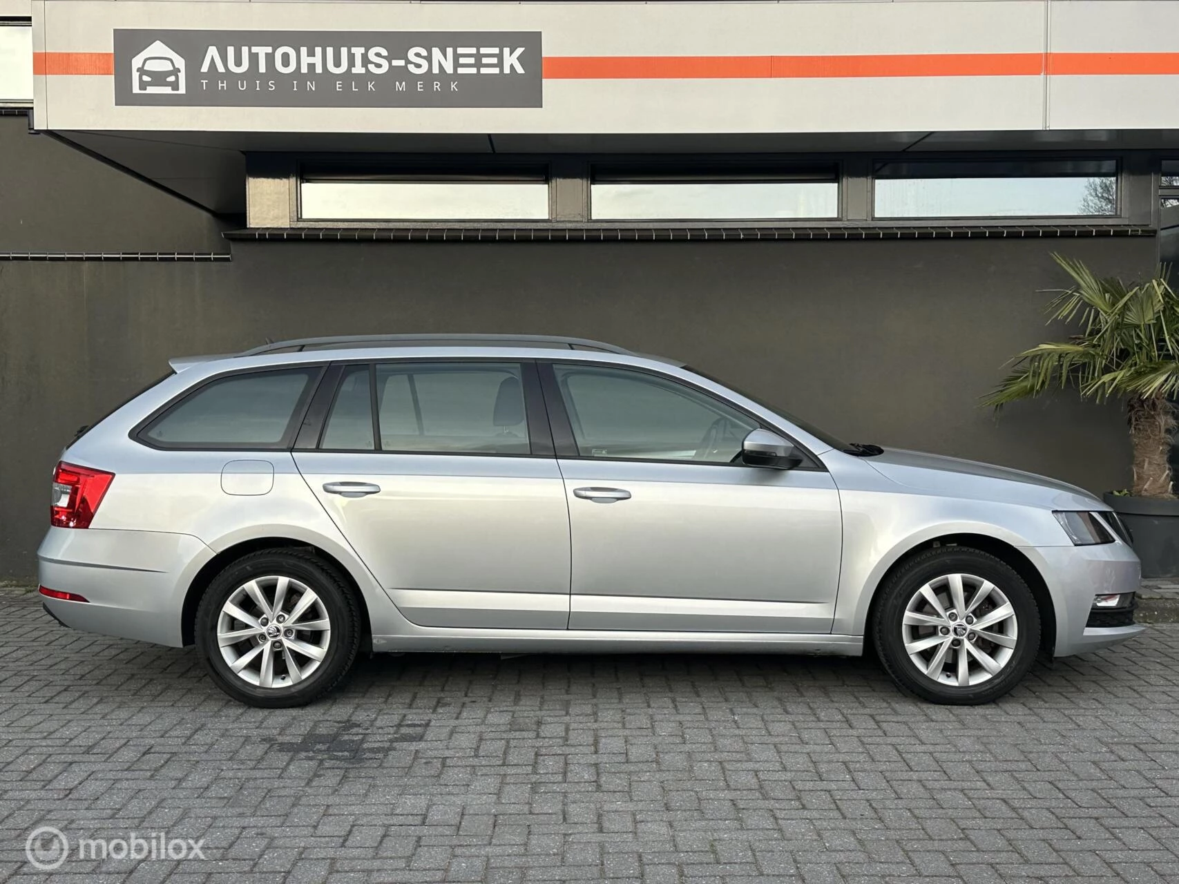 Hoofdafbeelding Škoda Octavia