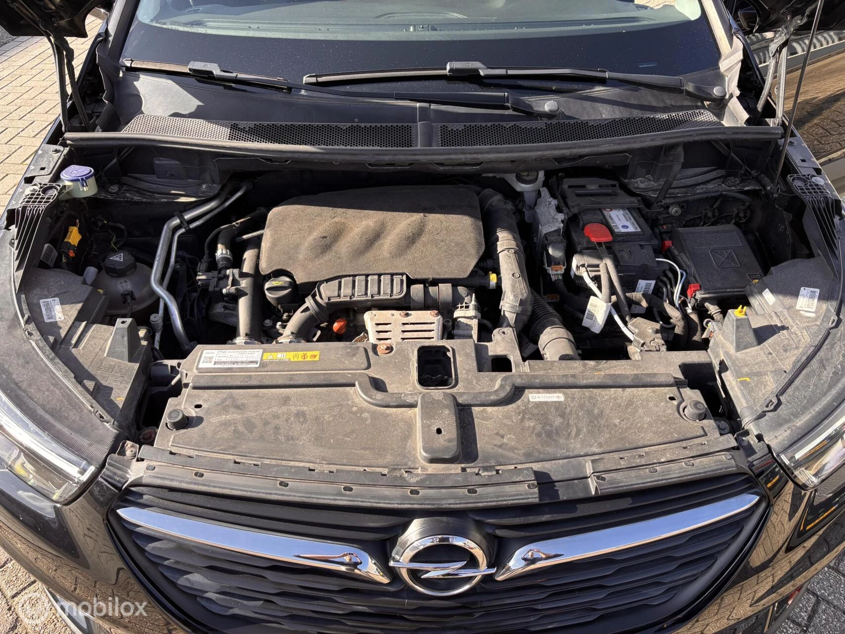 Hoofdafbeelding Opel Grandland X