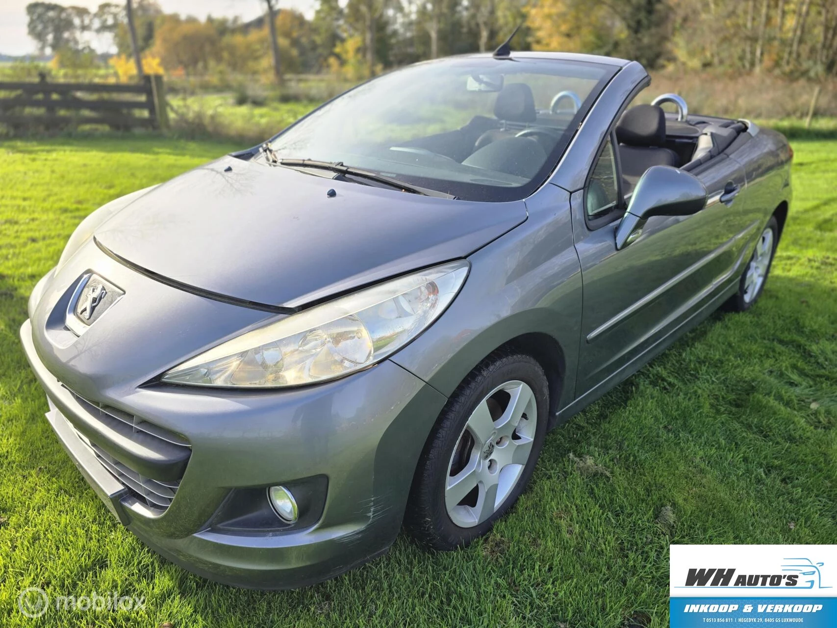 Hoofdafbeelding Peugeot 207