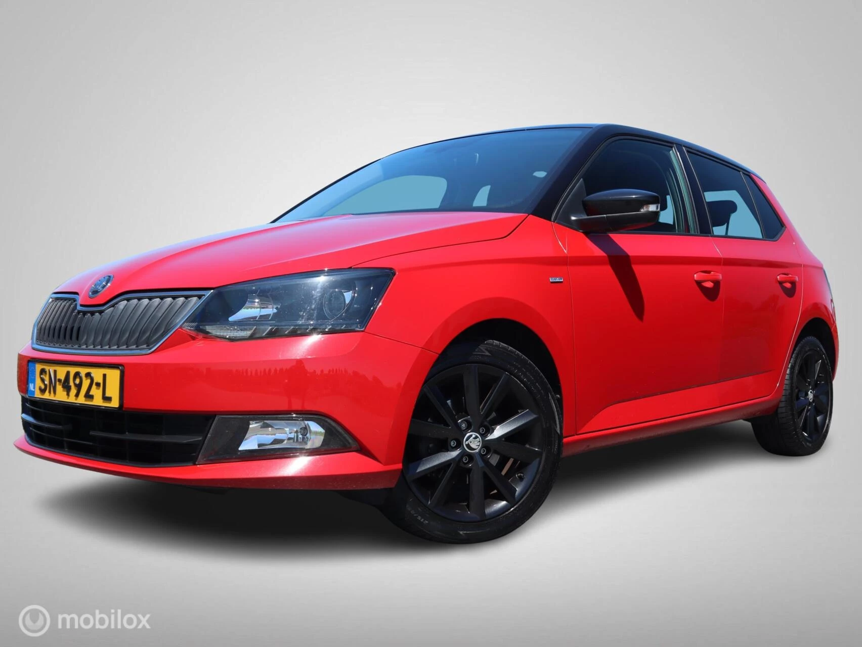 Hoofdafbeelding Škoda Fabia
