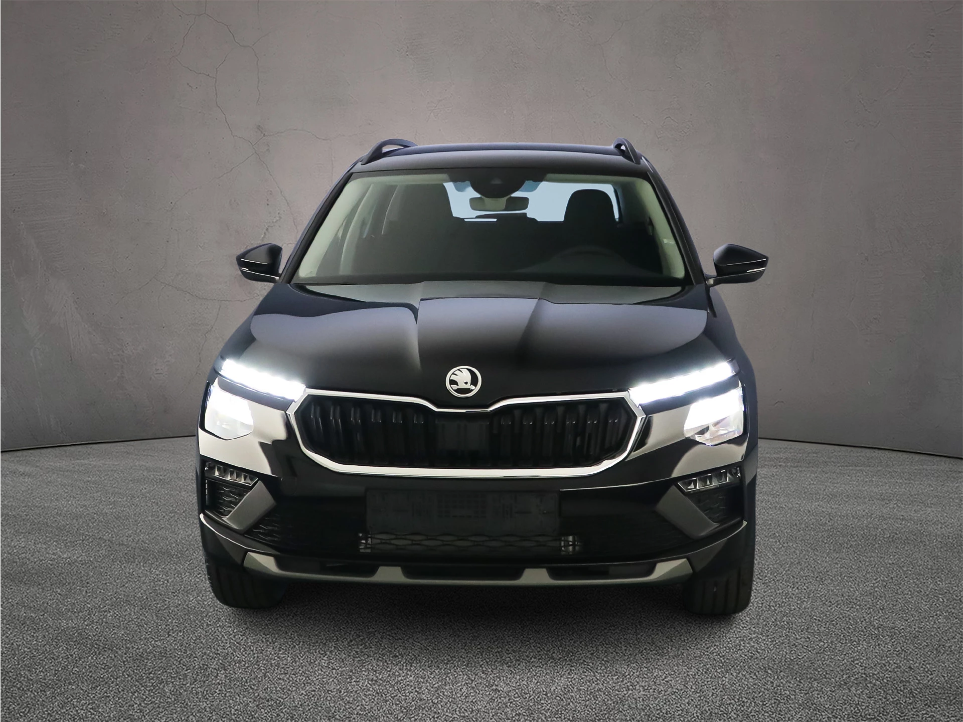Hoofdafbeelding Škoda Kamiq