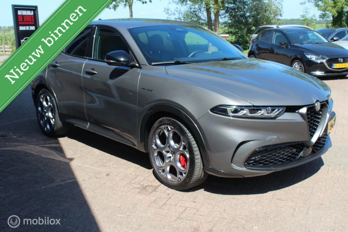 Hoofdafbeelding Alfa Romeo Tonale