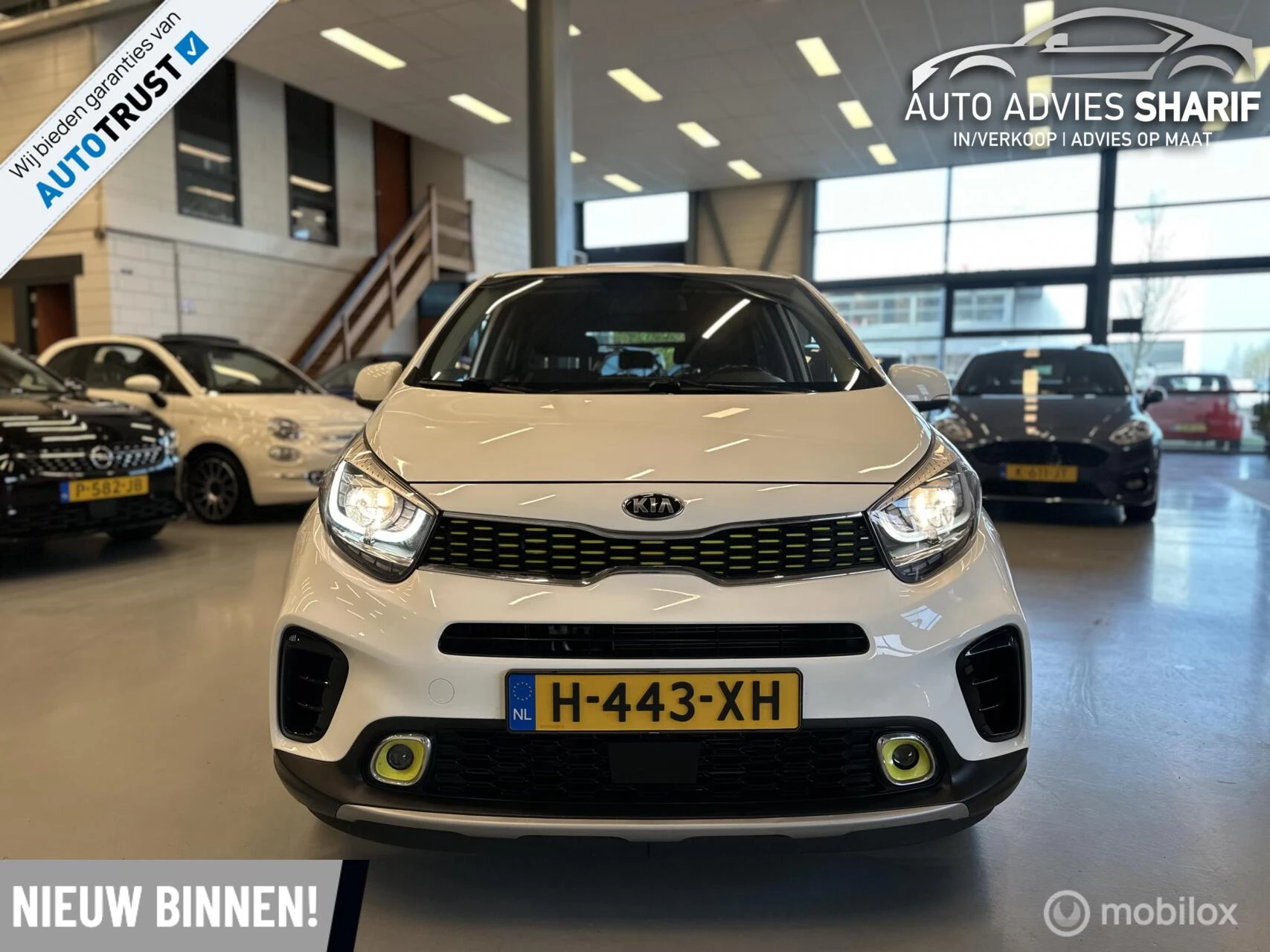 Hoofdafbeelding Kia Picanto