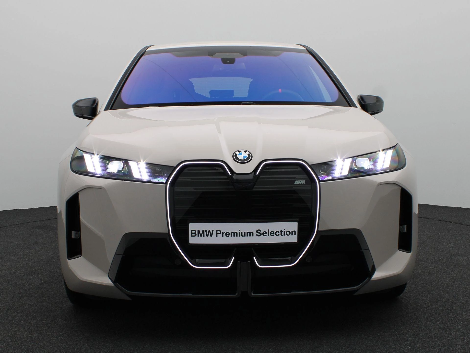 Hoofdafbeelding BMW iX
