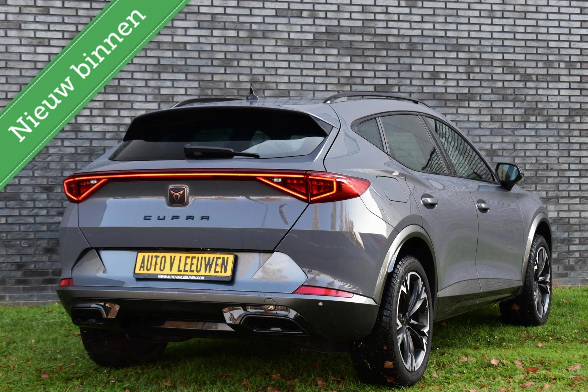 Hoofdafbeelding CUPRA Formentor